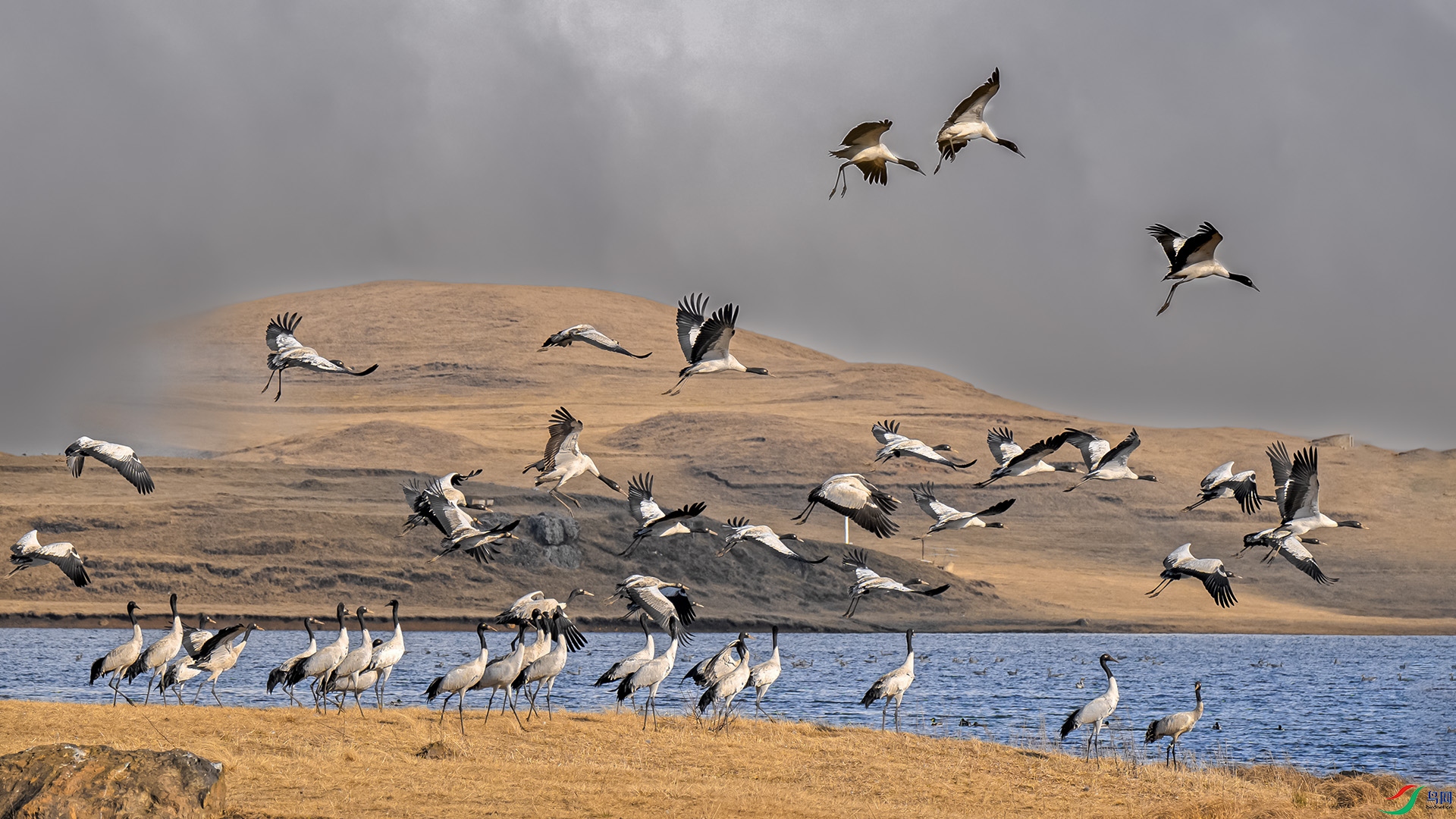 DSC_4299 ����.jpg