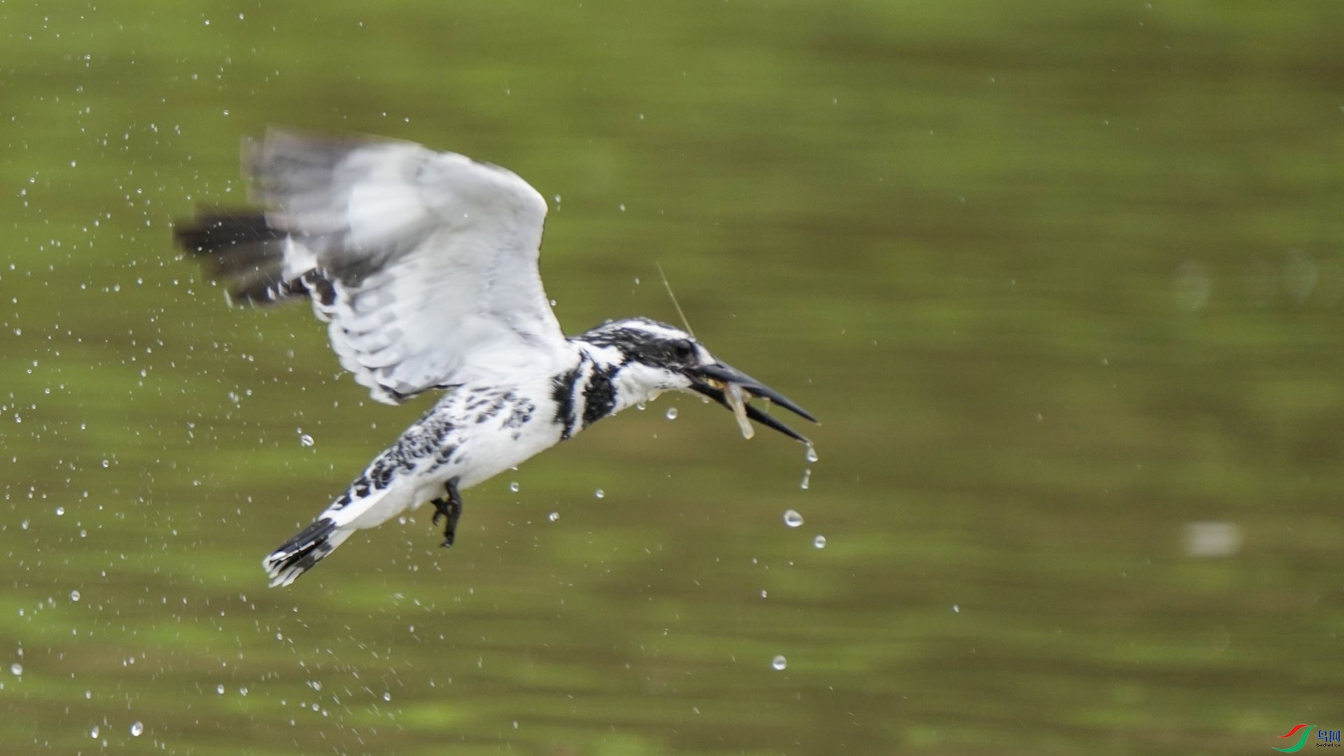 DSC00882 ����.jpg