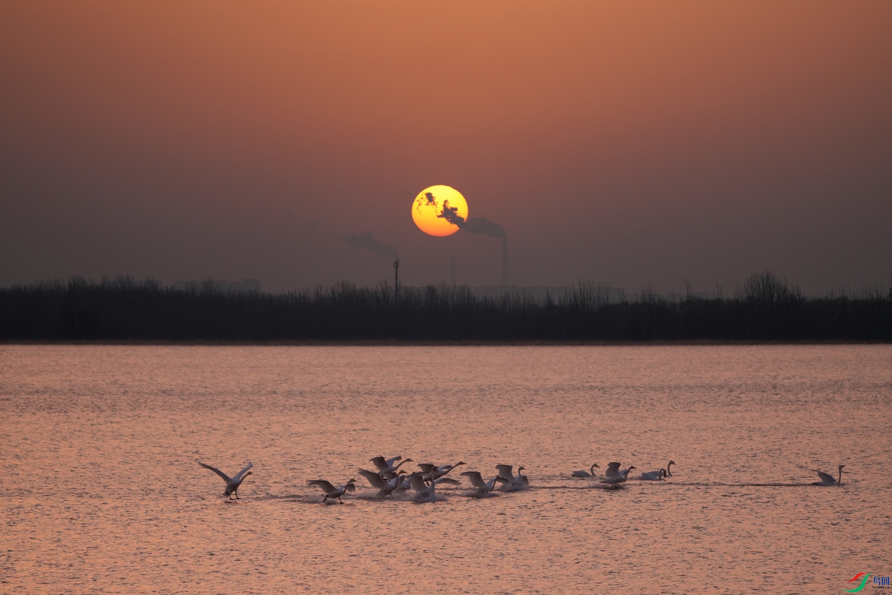 DSC04973_����.jpg