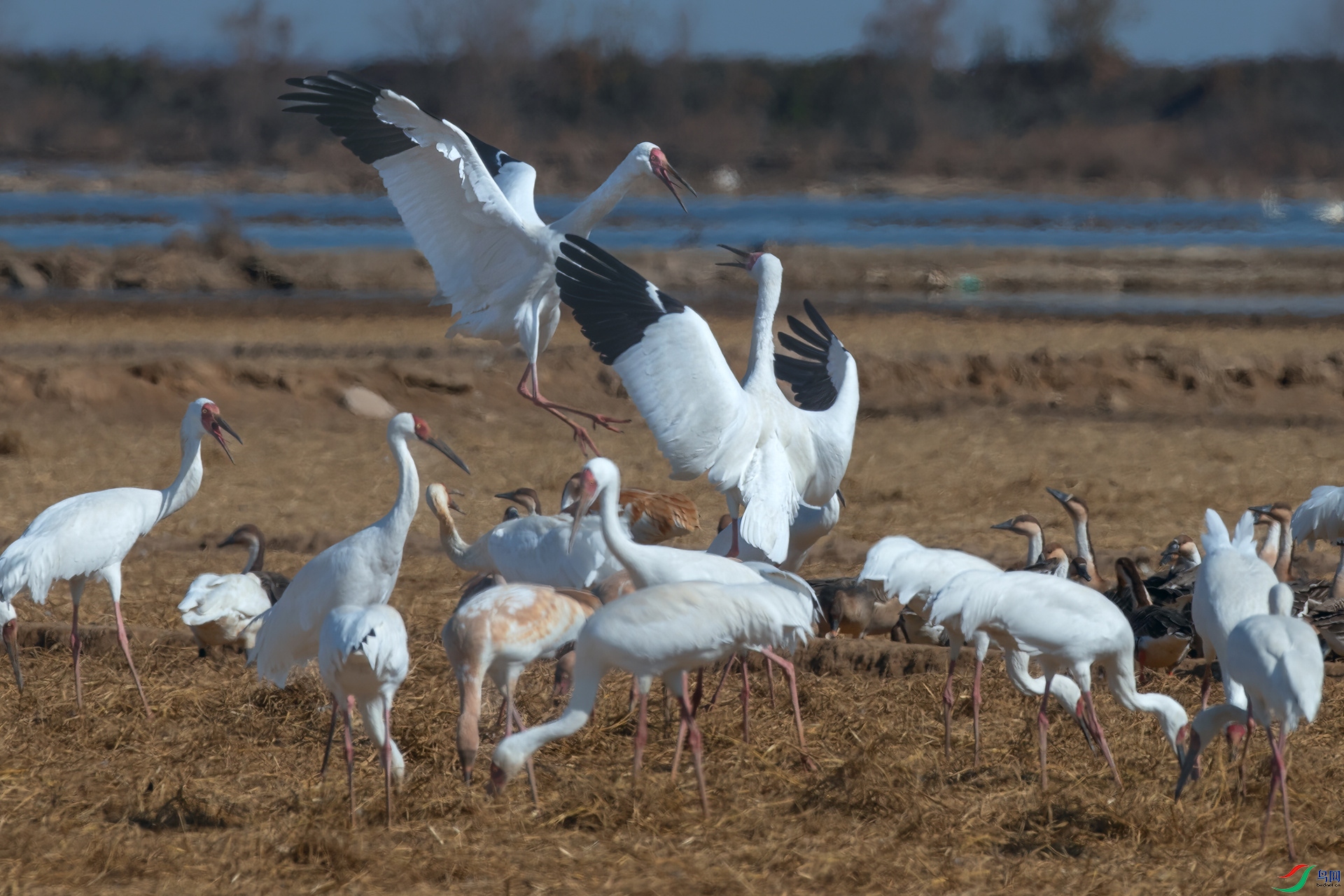 B86I0337 _����.jpg