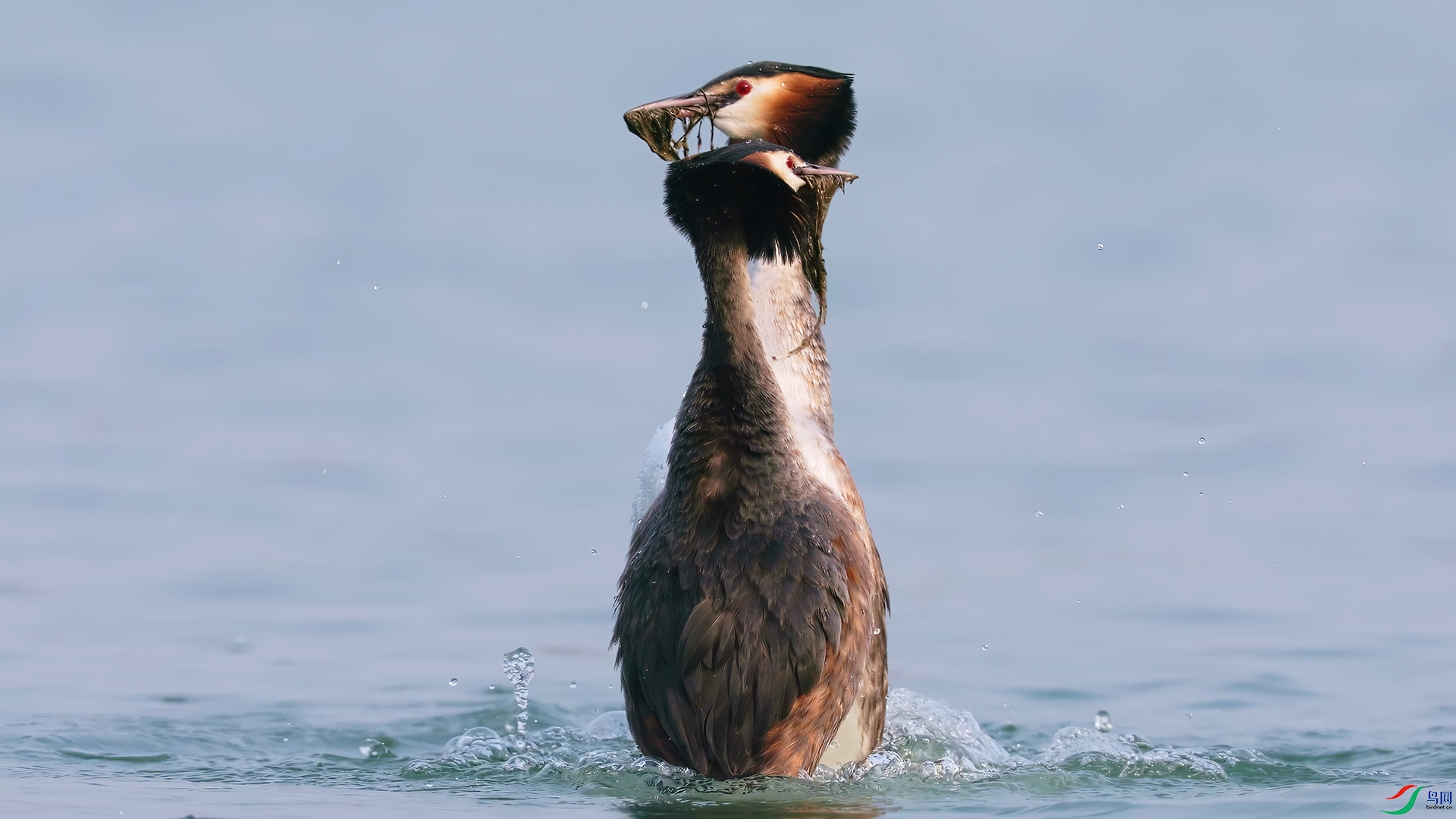 ��֡ 2026-03-05 193758_1.1.jpg