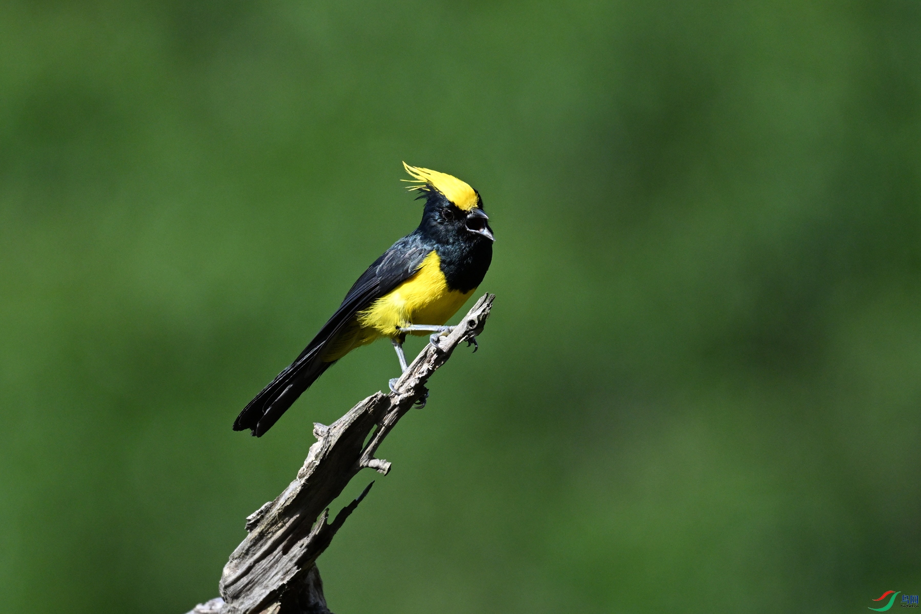 DSC_2269.JPG