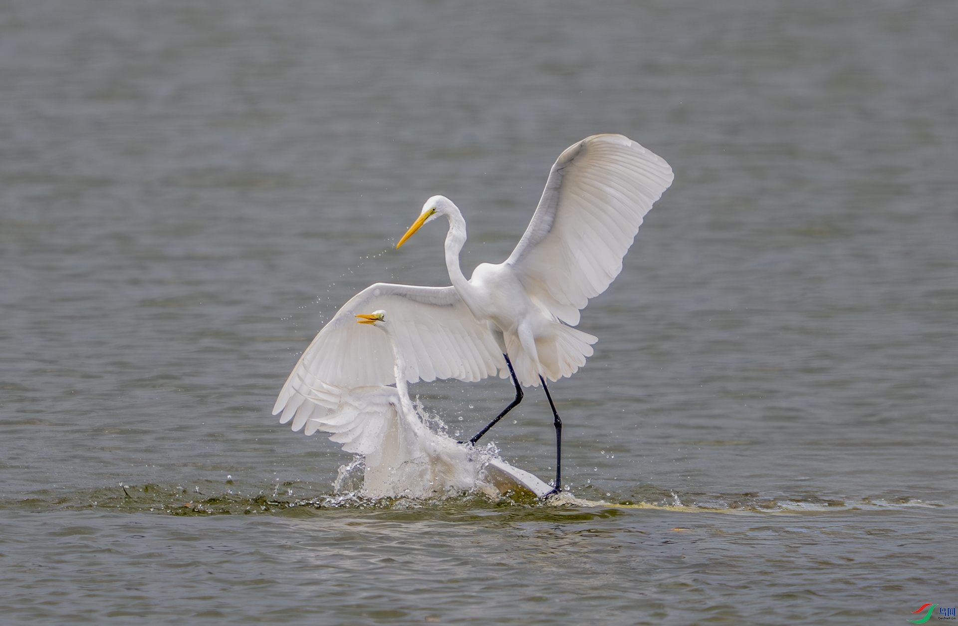 DSC_9357.jpg