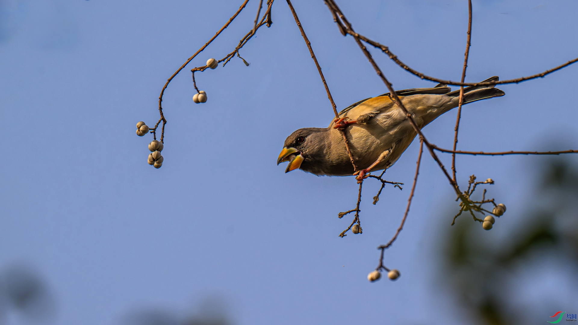 DSC_4648-1_����.jpg