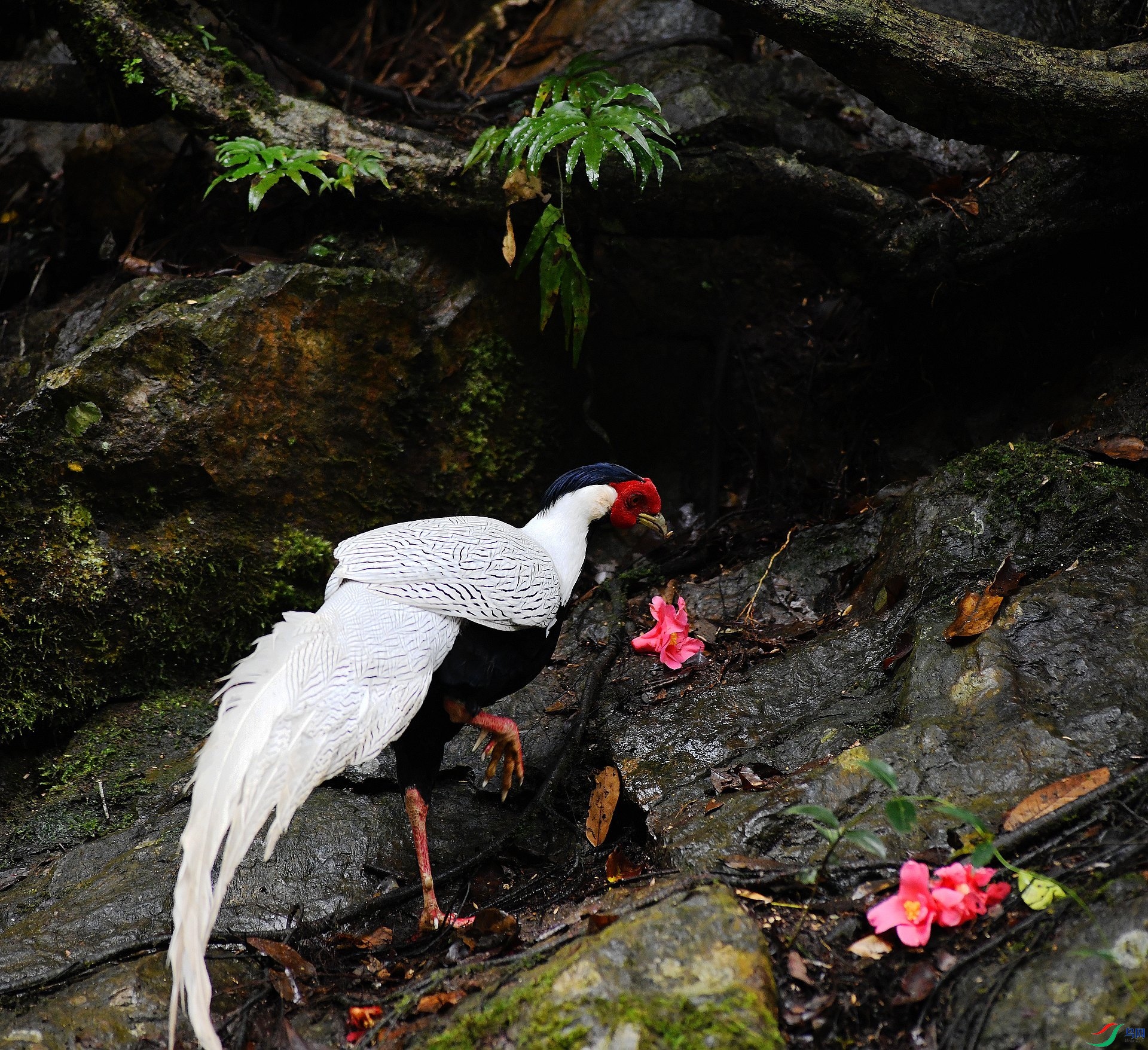 DSC_0623.jpg