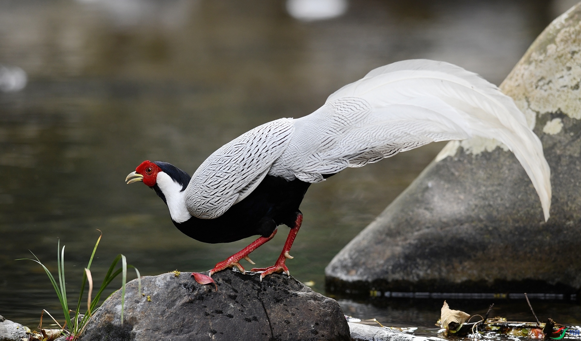 DSC_2409.jpg