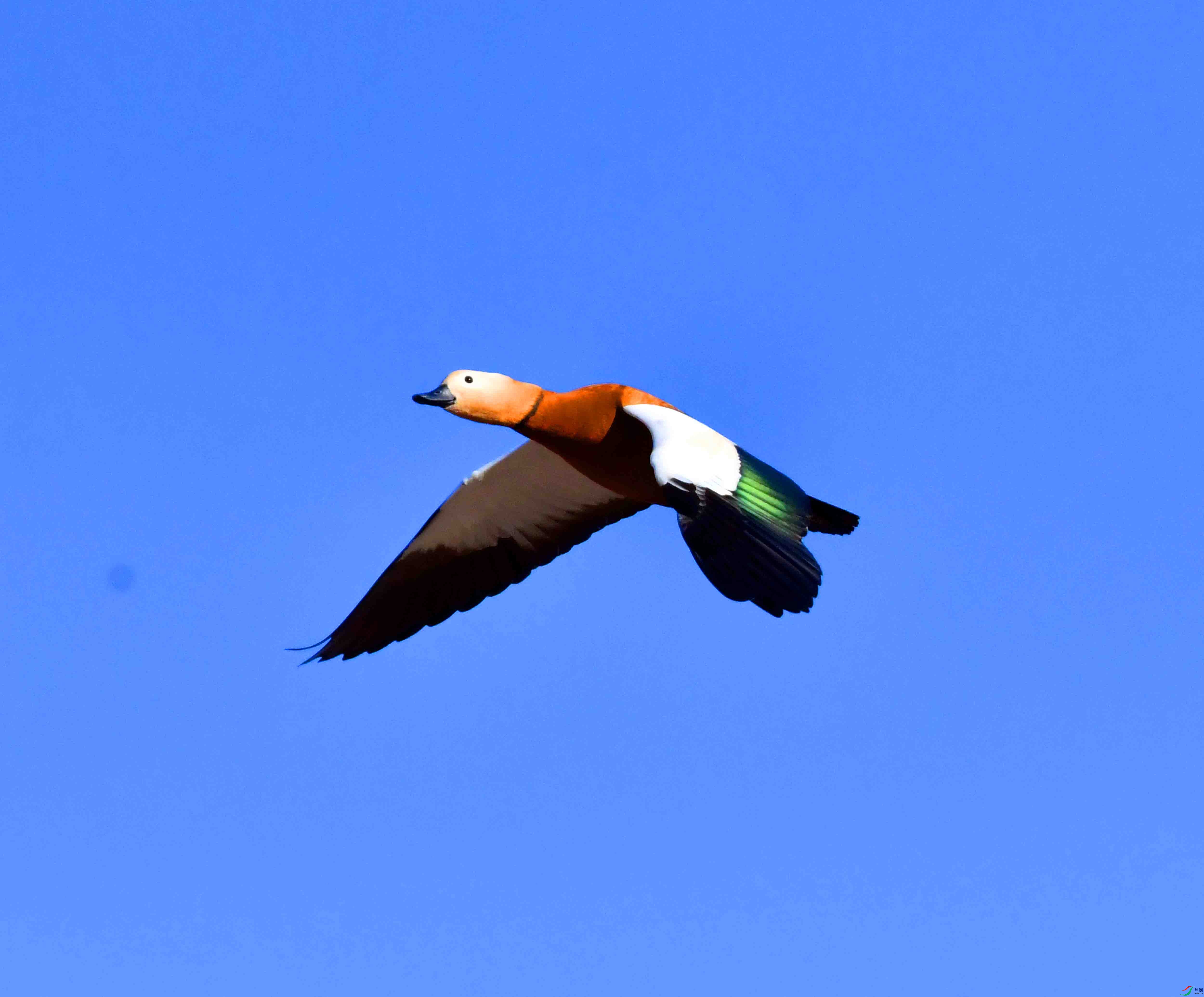 DSC_5547.JPG