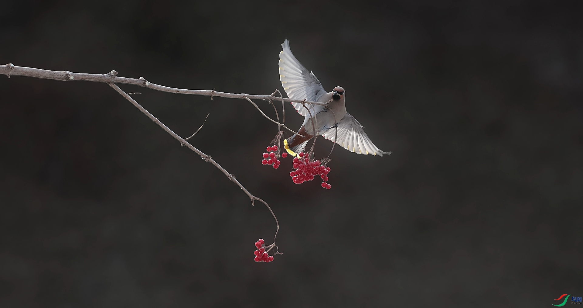 ��֡ 2026-03-05 161800_1.1.12.jpg