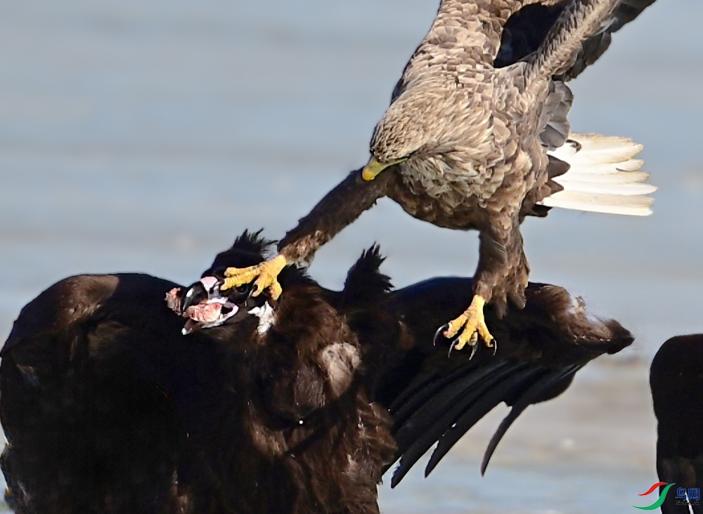 3��5�� ���� 2_����.jpg