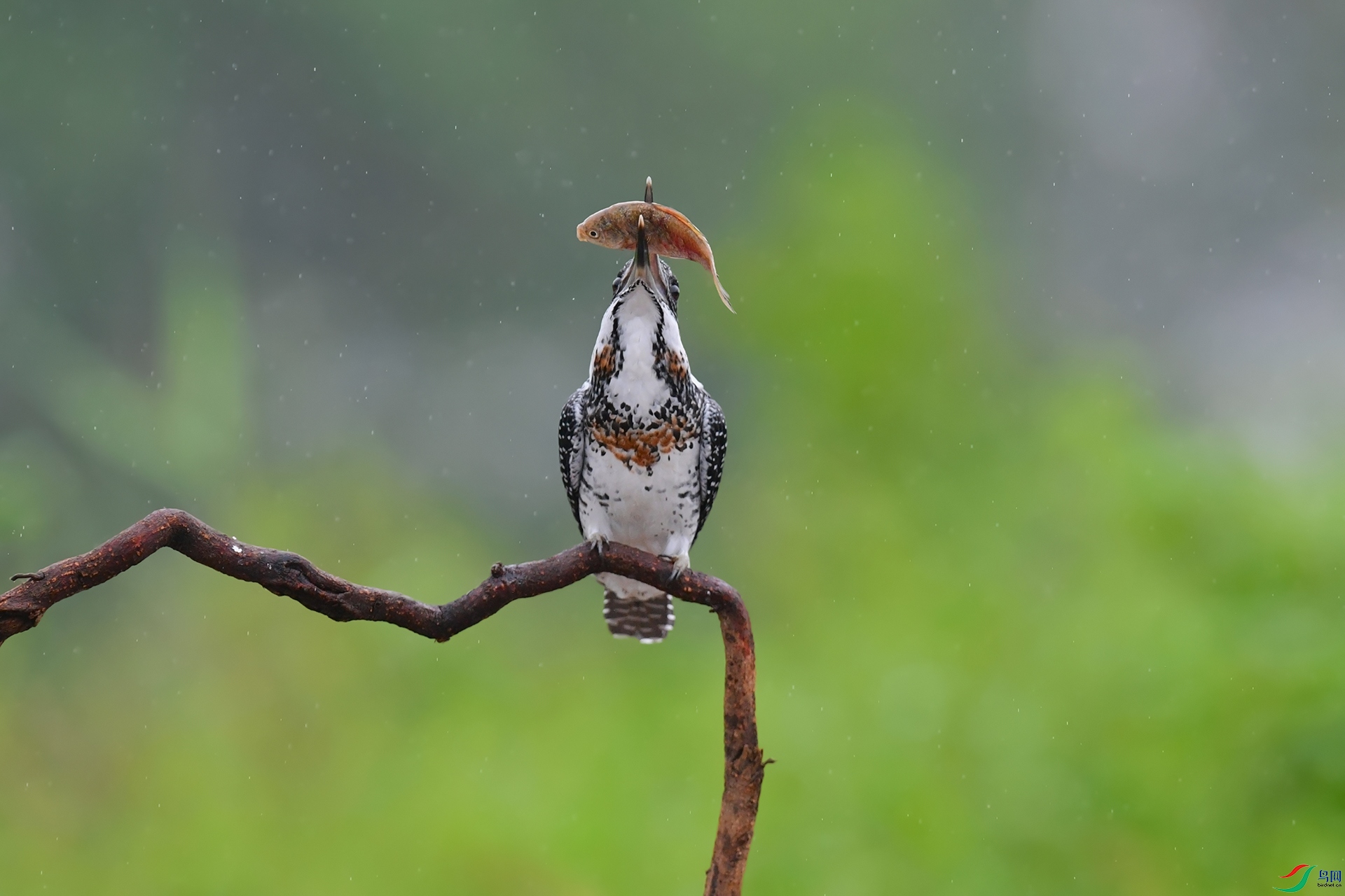 DSC_4672_DxOa.jpg