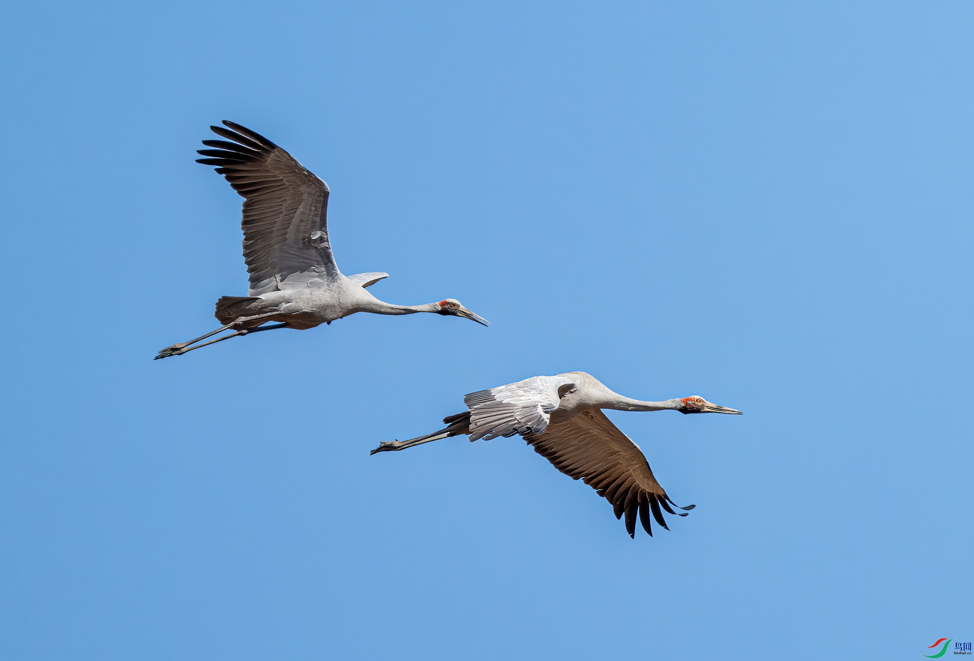 DSC_7057.jpg