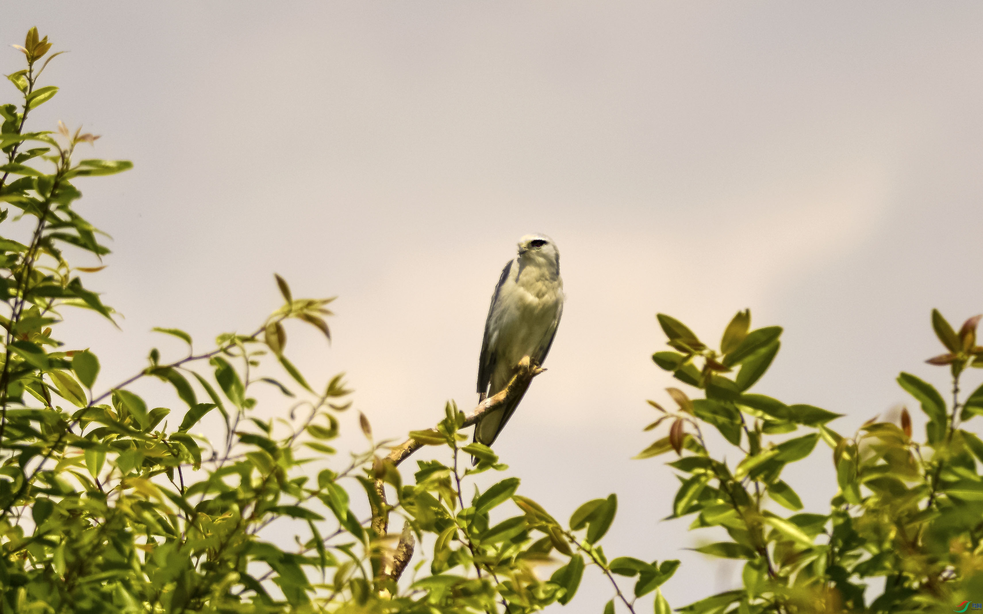 DSC_7123.jpg