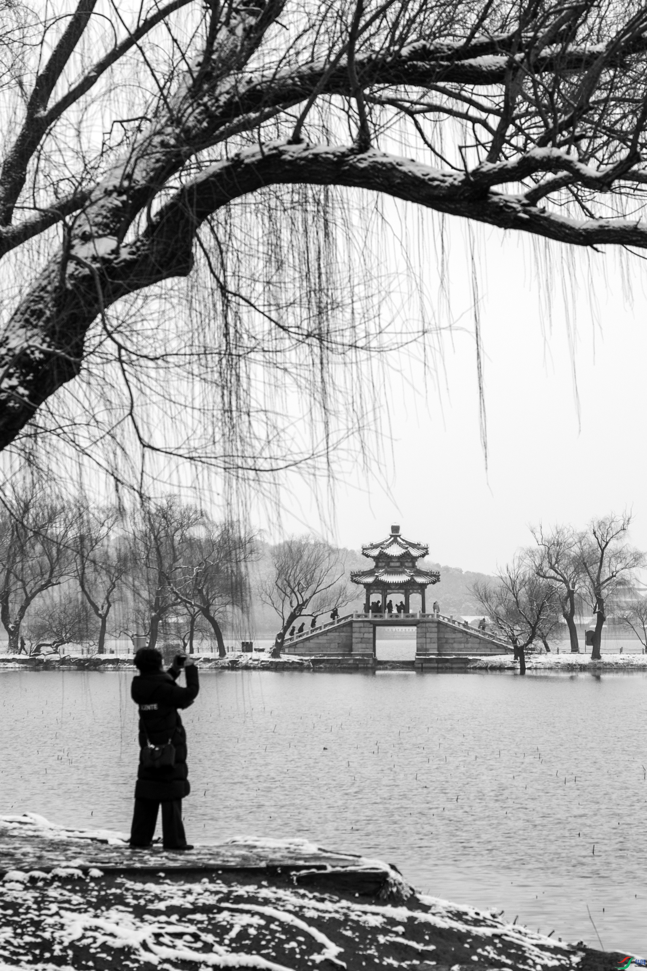 DSC_6624 ����.jpg