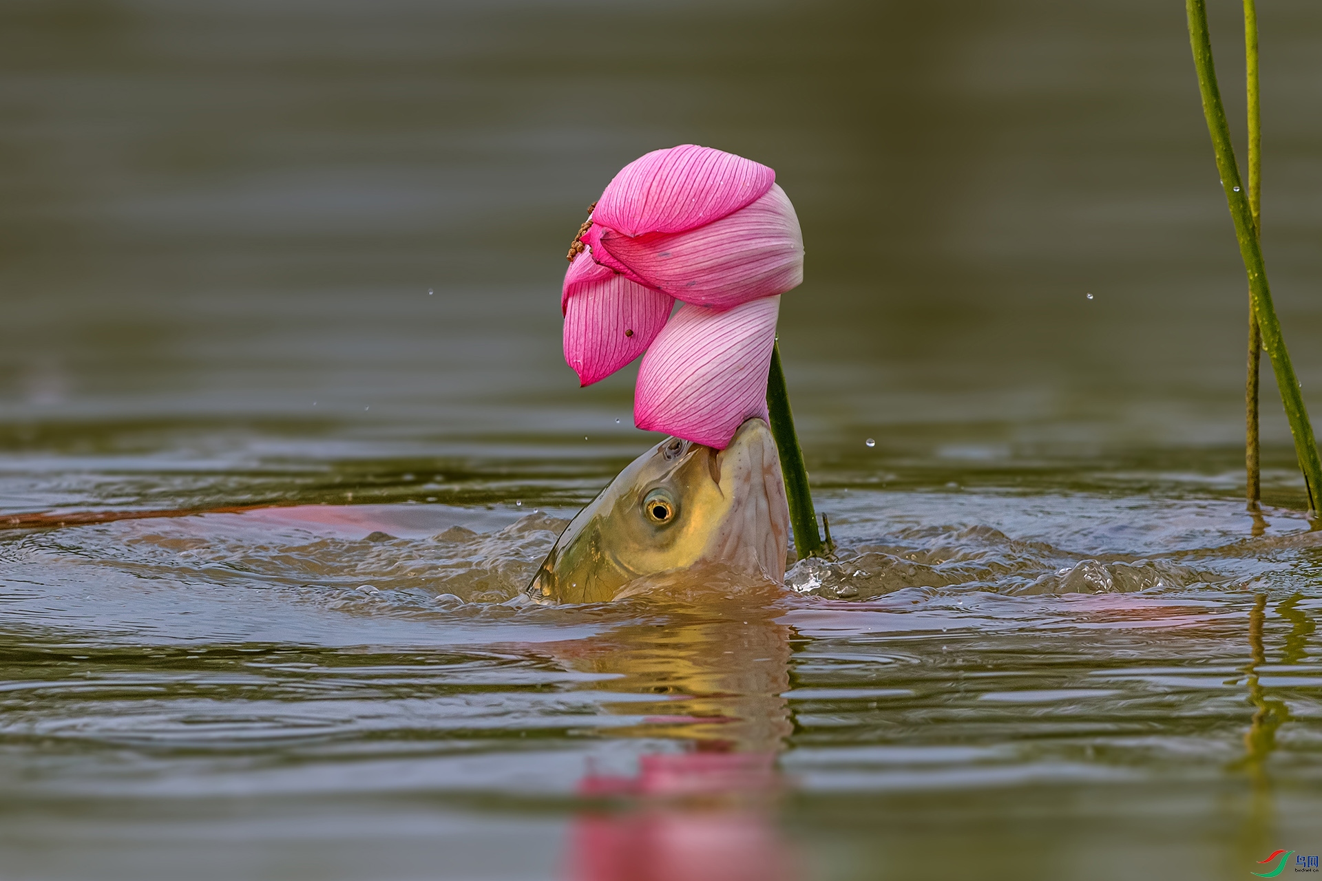 _AUU7896 ��֮��(25.7.29).jpg