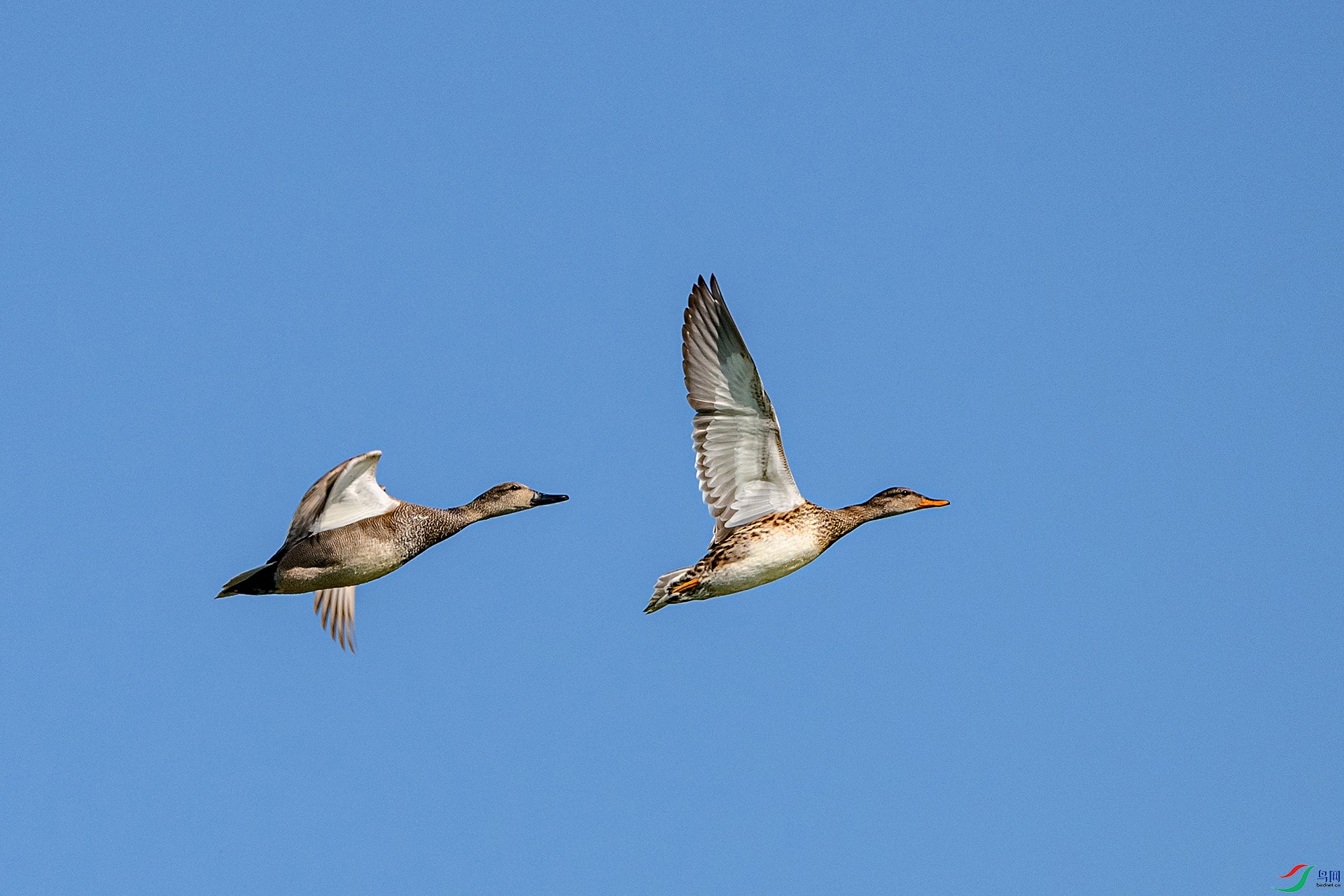 _AUU7722 ���Ѽ(26.2.10).jpg