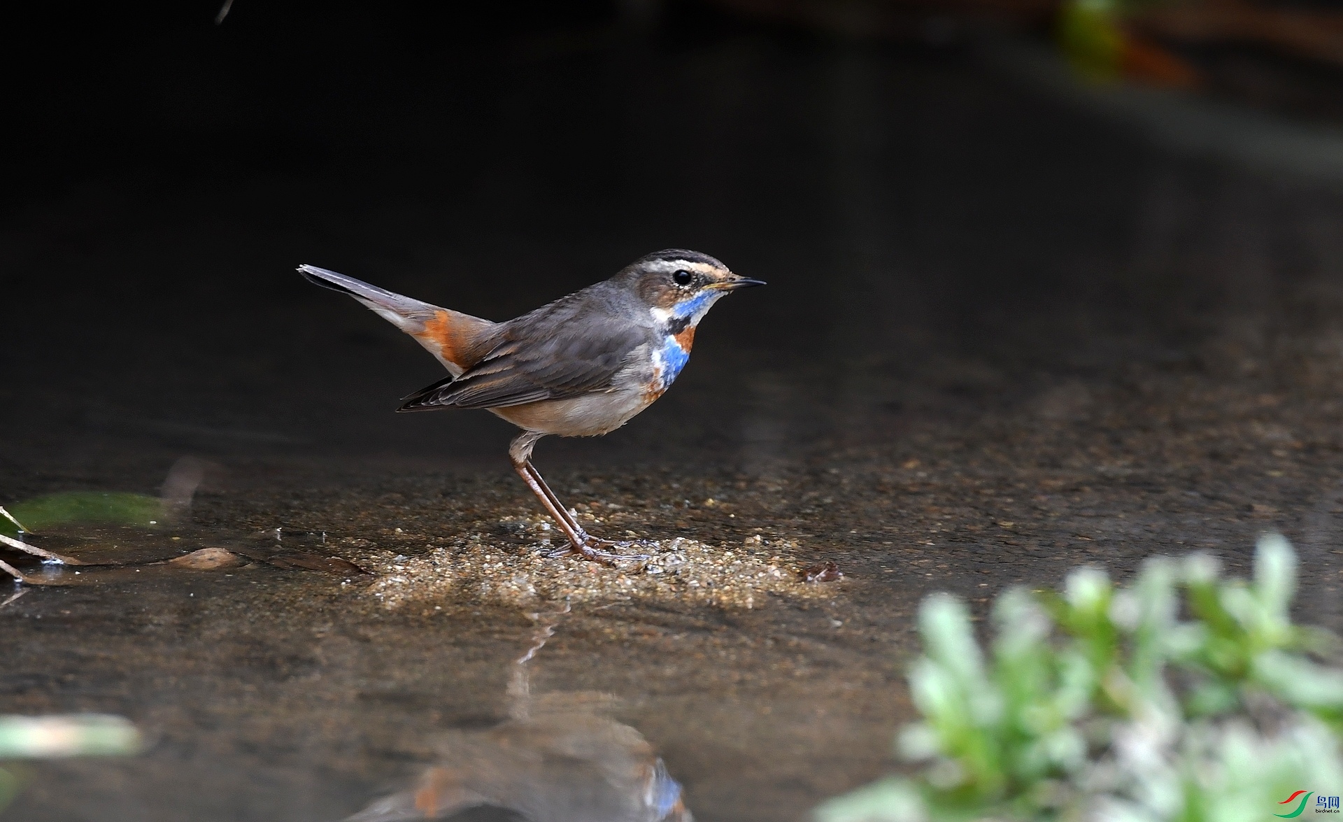 DSC_3428.jpg