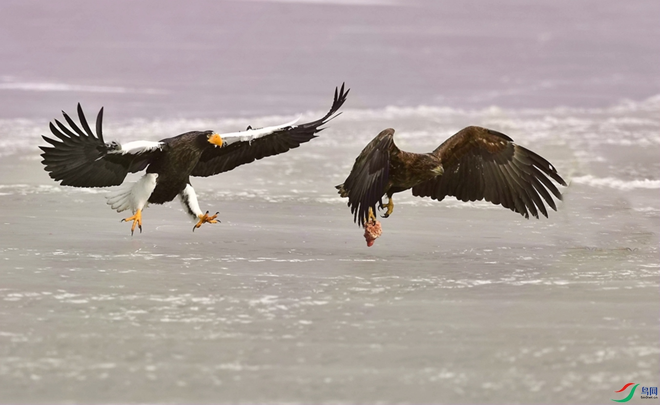 �����ܣ�