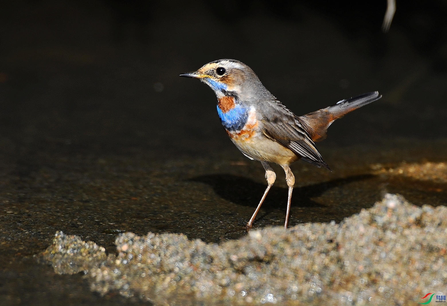 DSC_6160.jpg