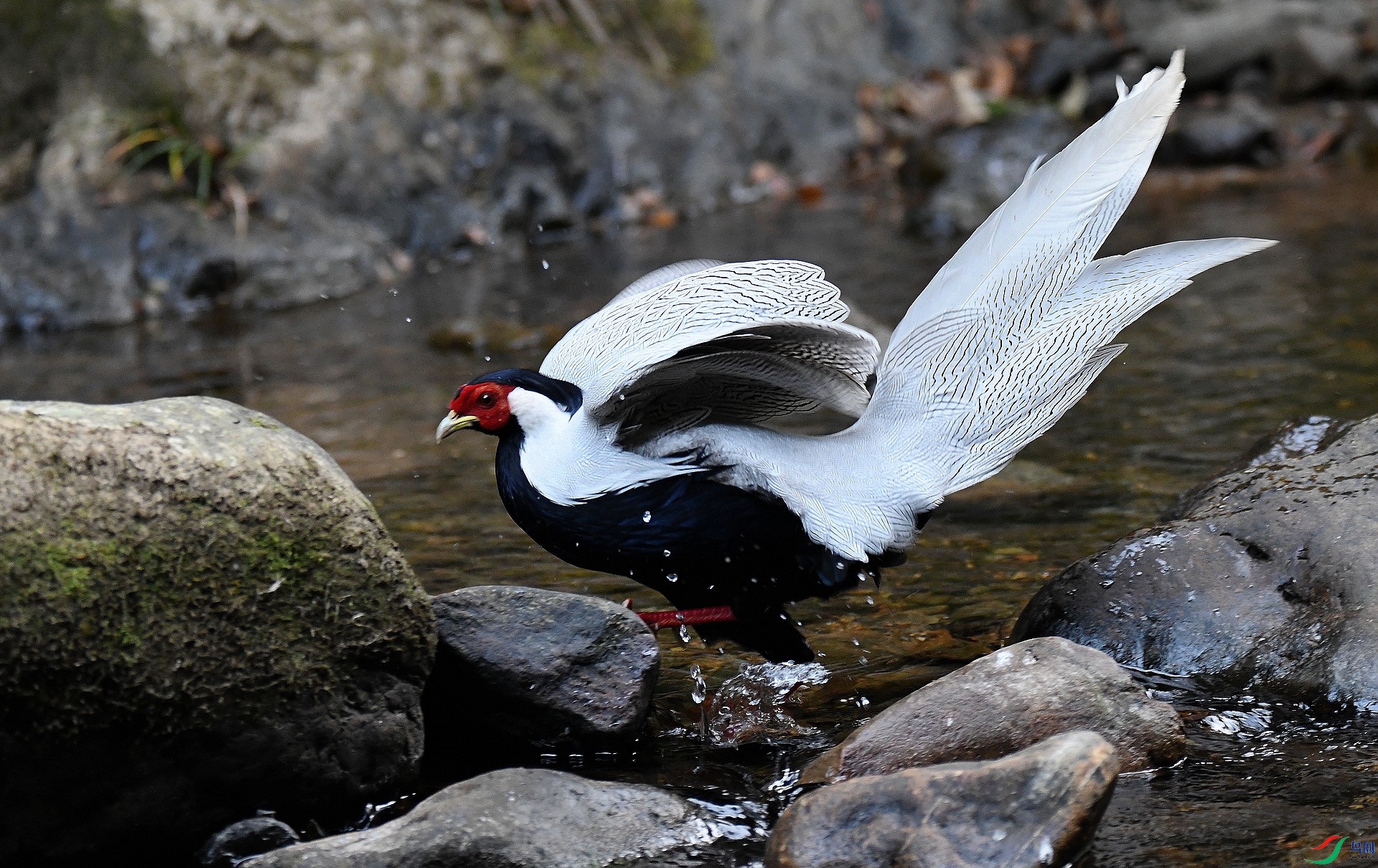 DSC_6114.jpg