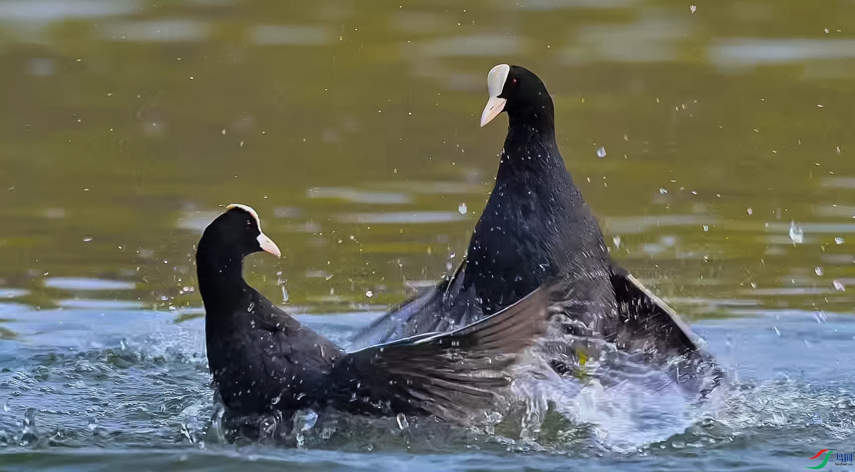 �궯����-���� ����.jpg