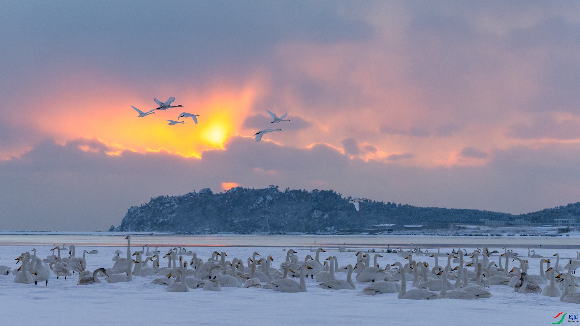 _DSC4091-DxO_DeepPRIME 3-1.jpg