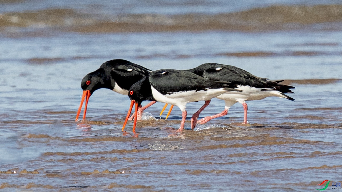 _90I5621 ����.jpg