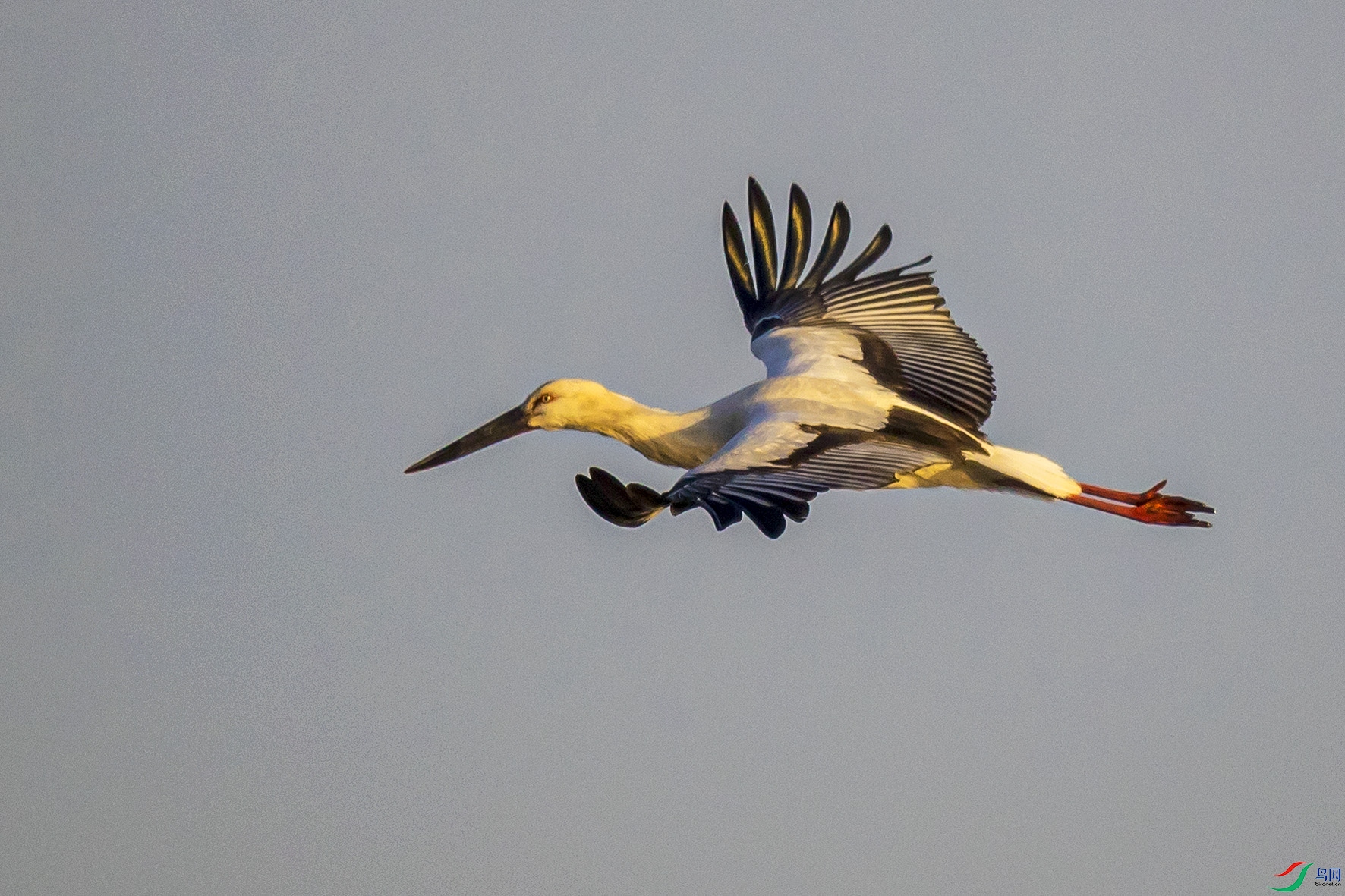 _90I5441 ����.jpg