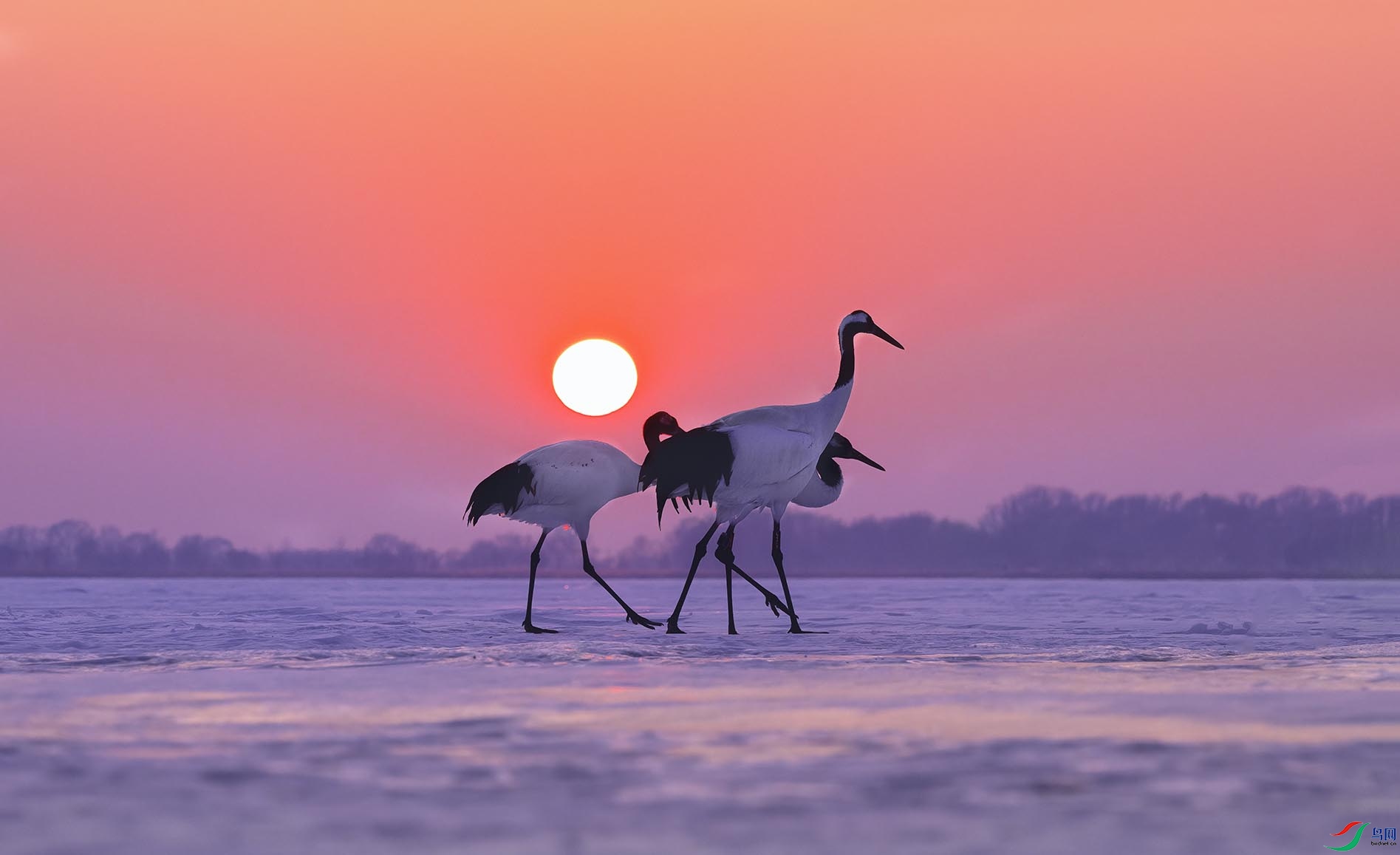 _DSC3569 ����.jpg