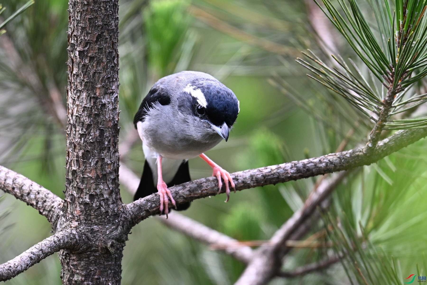 DSC_1307.JPG