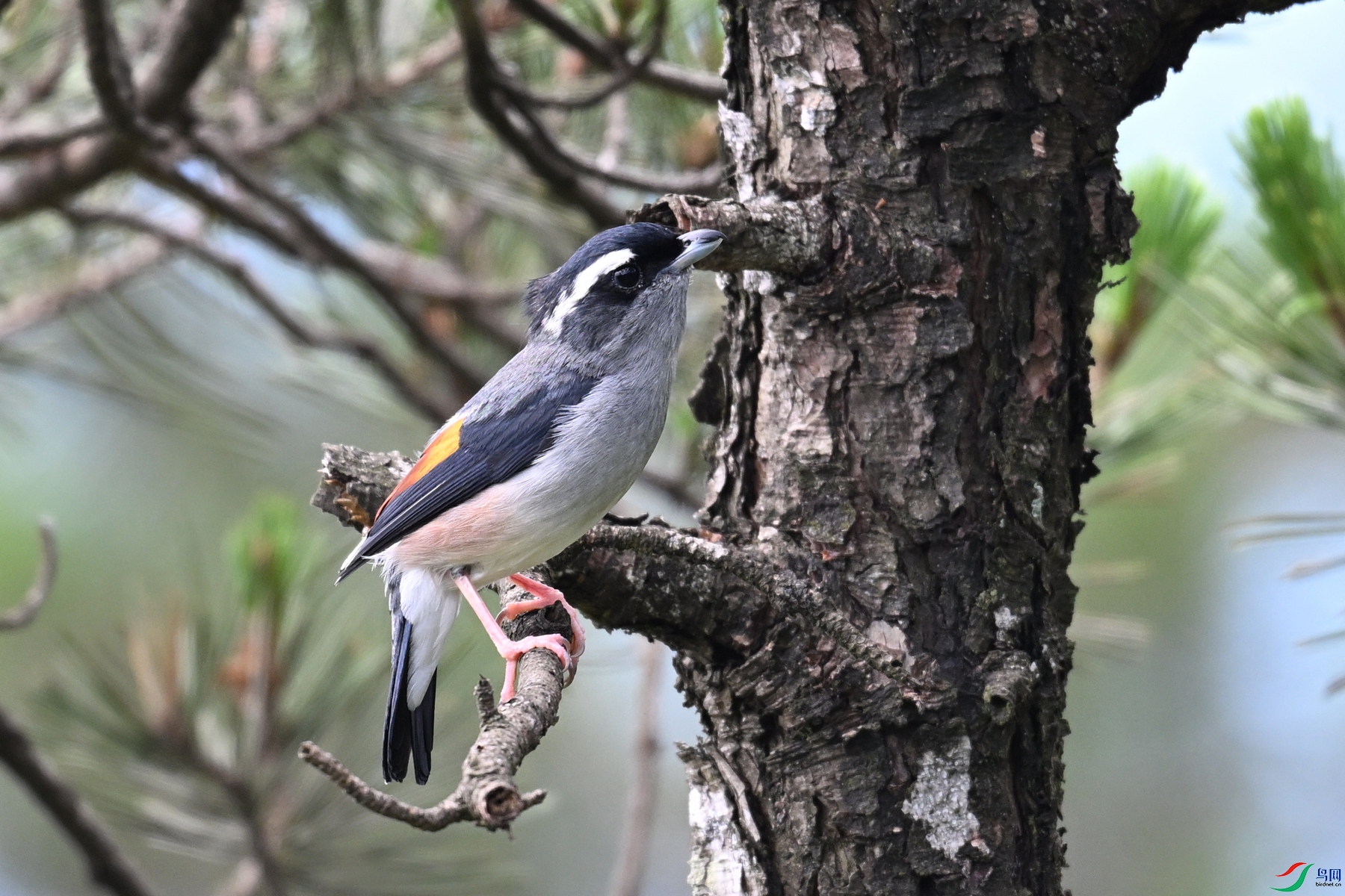 DSC_1230.JPG