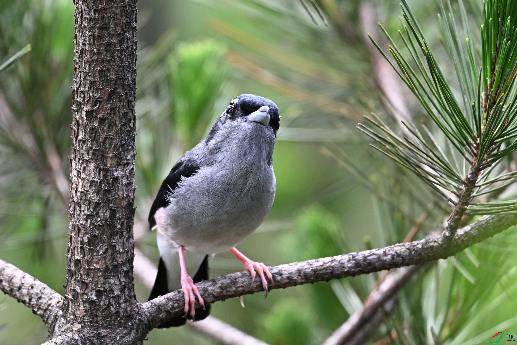 DSC_1299.JPG