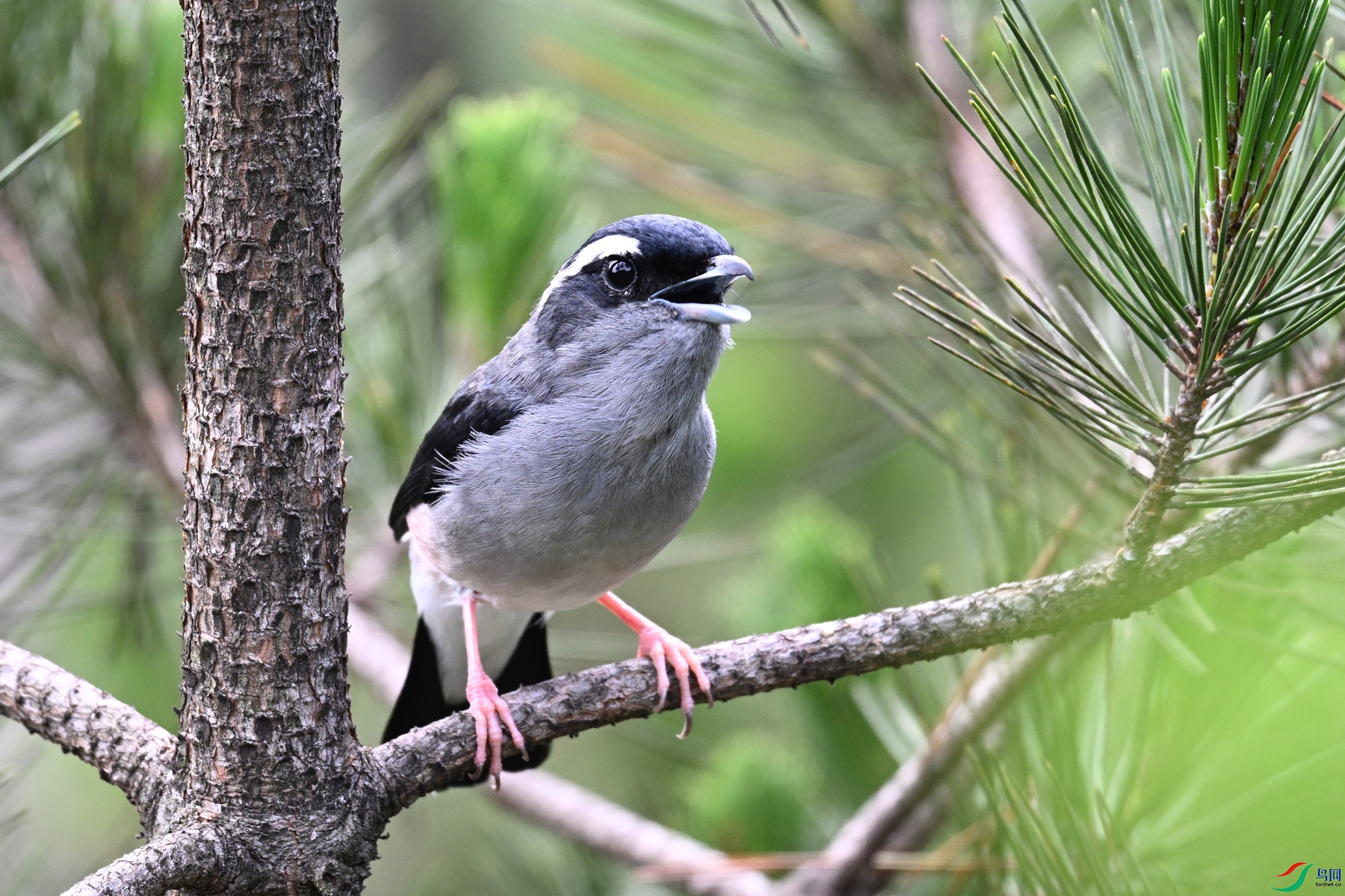 DSC_1315.JPG