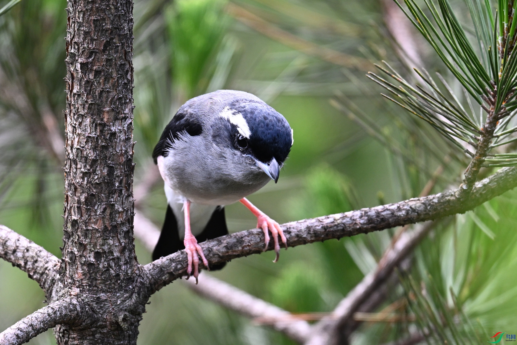 DSC_1309.JPG