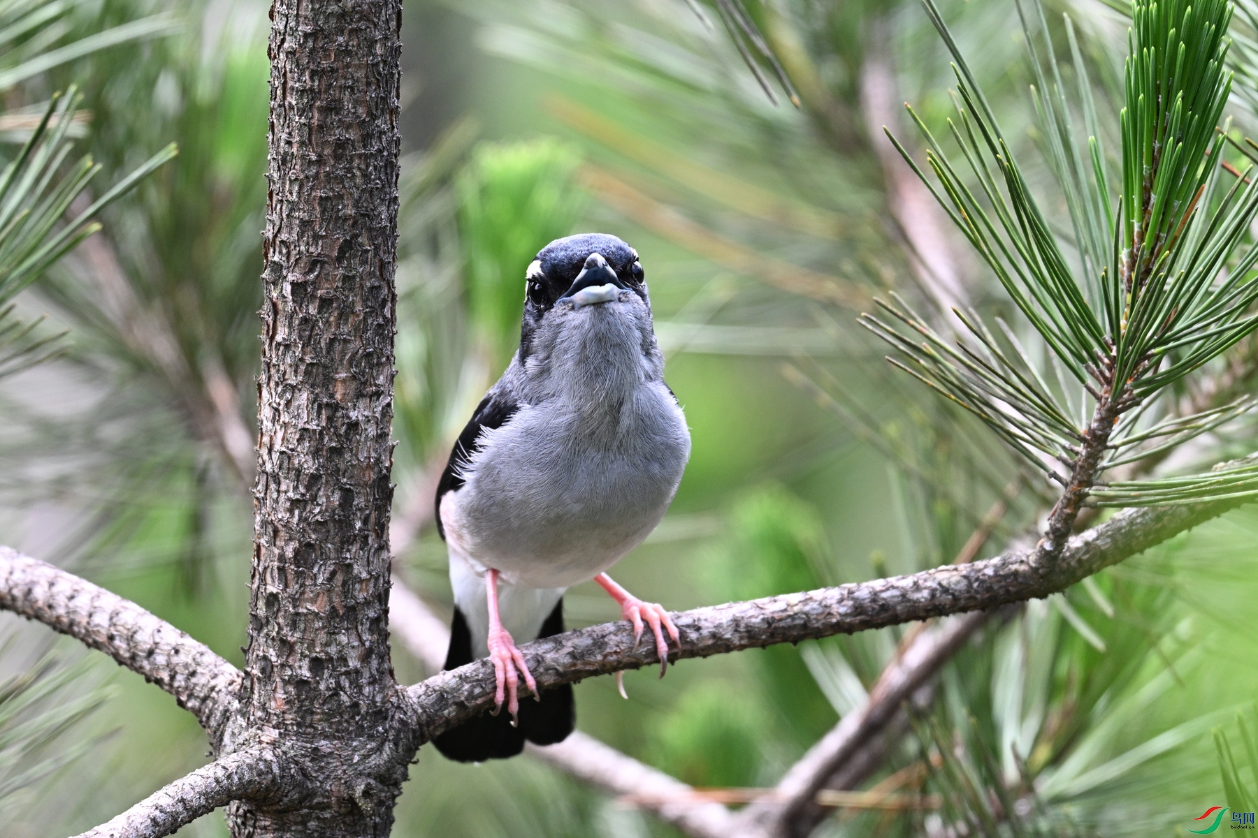 DSC_1295.JPG