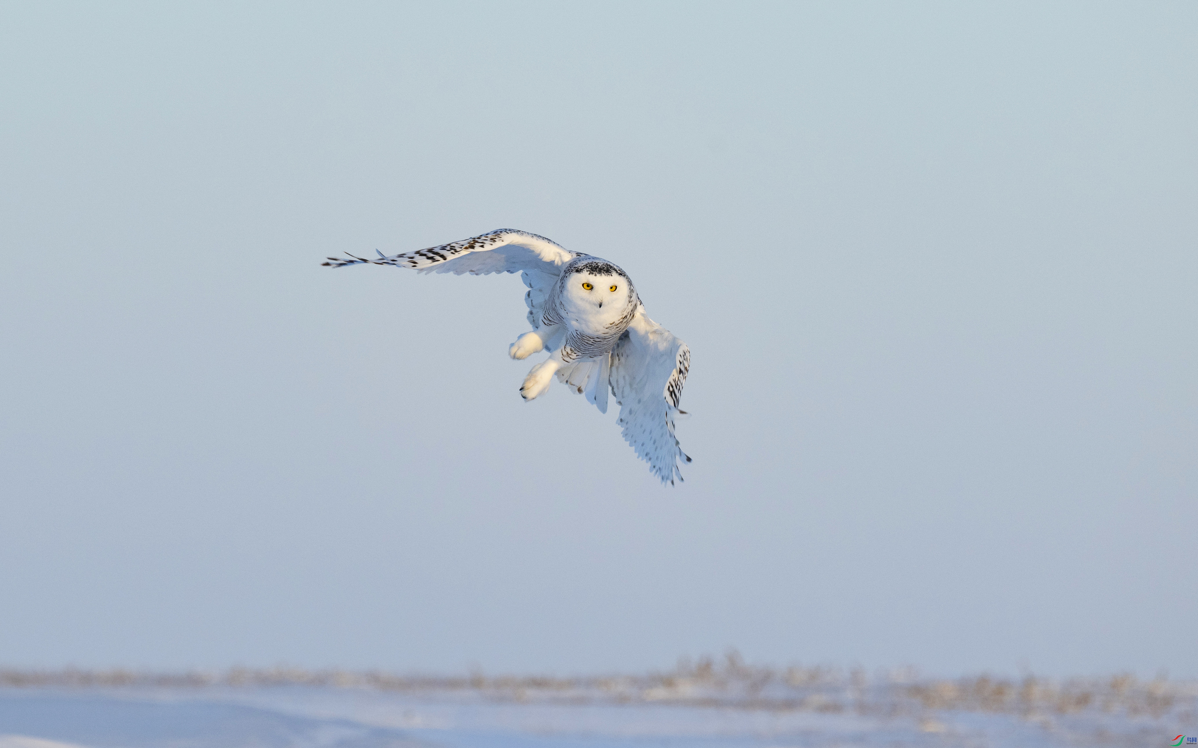 DSC_3758.jpg