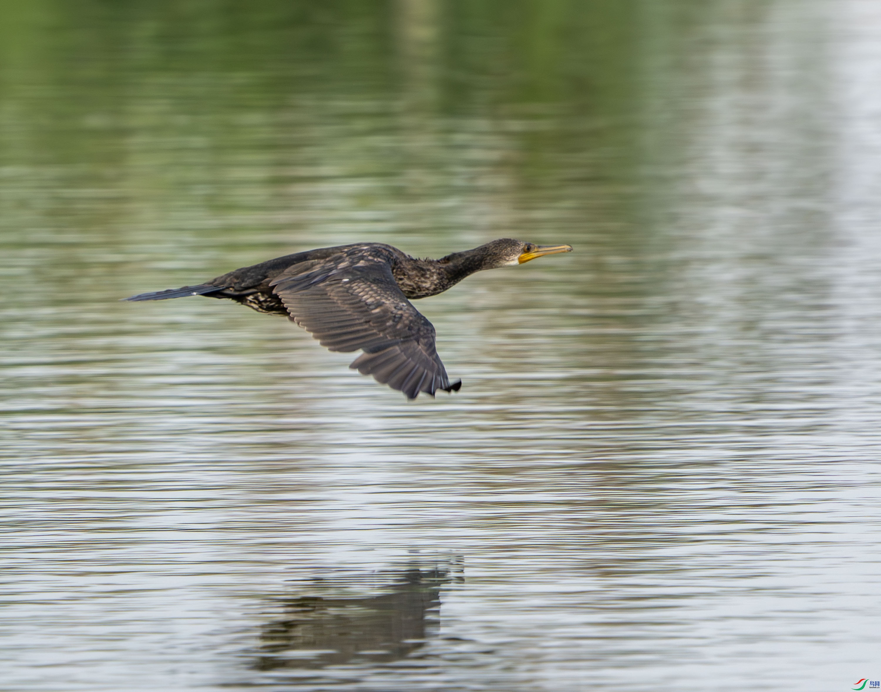 ӡ�����-1 (5).jpg