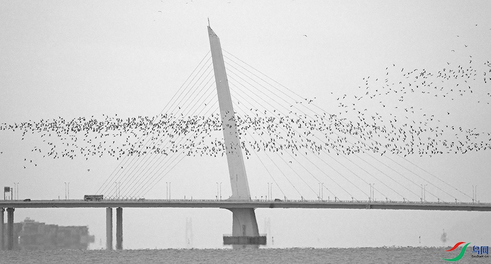 DSCF6268.1.jpg