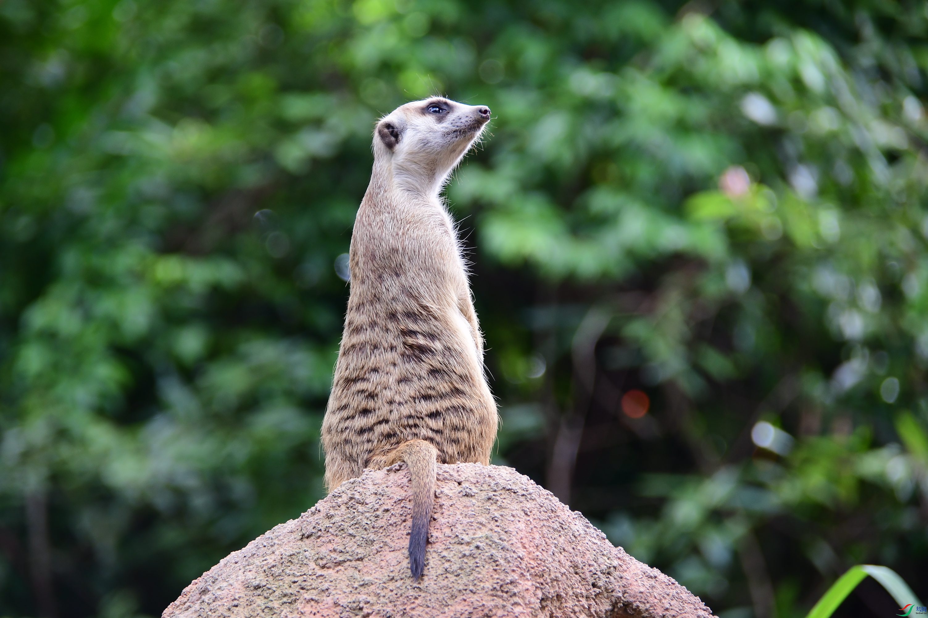 DSC_2886.JPG