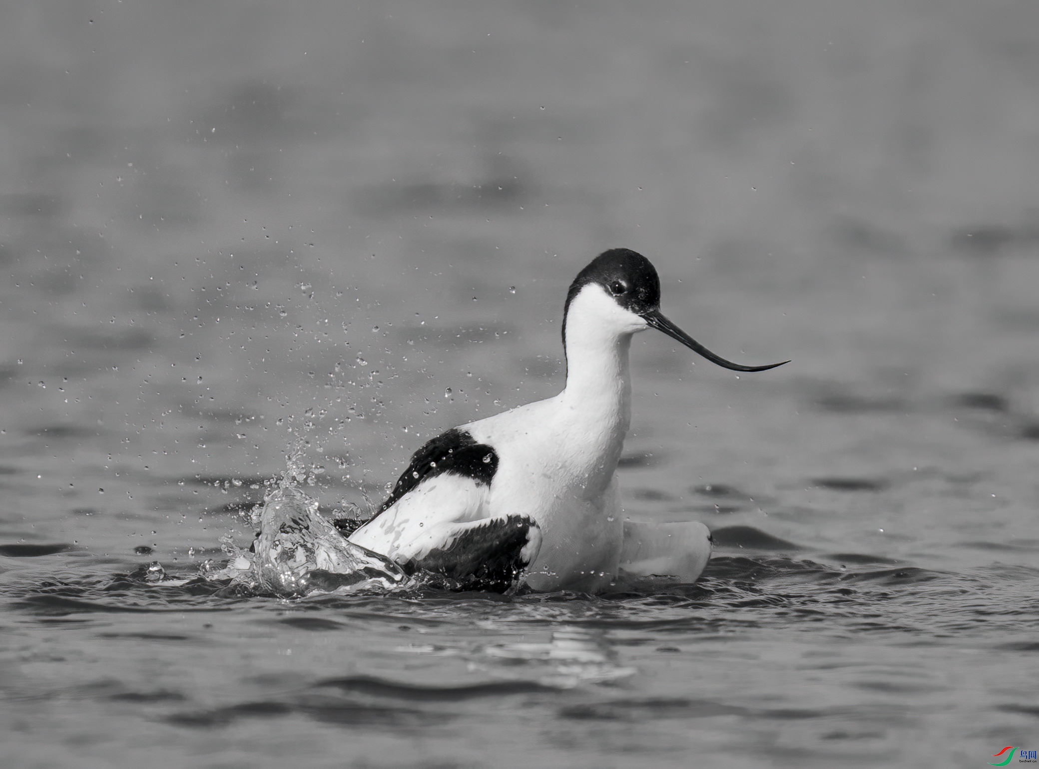 DSC01289 ����_����.jpg