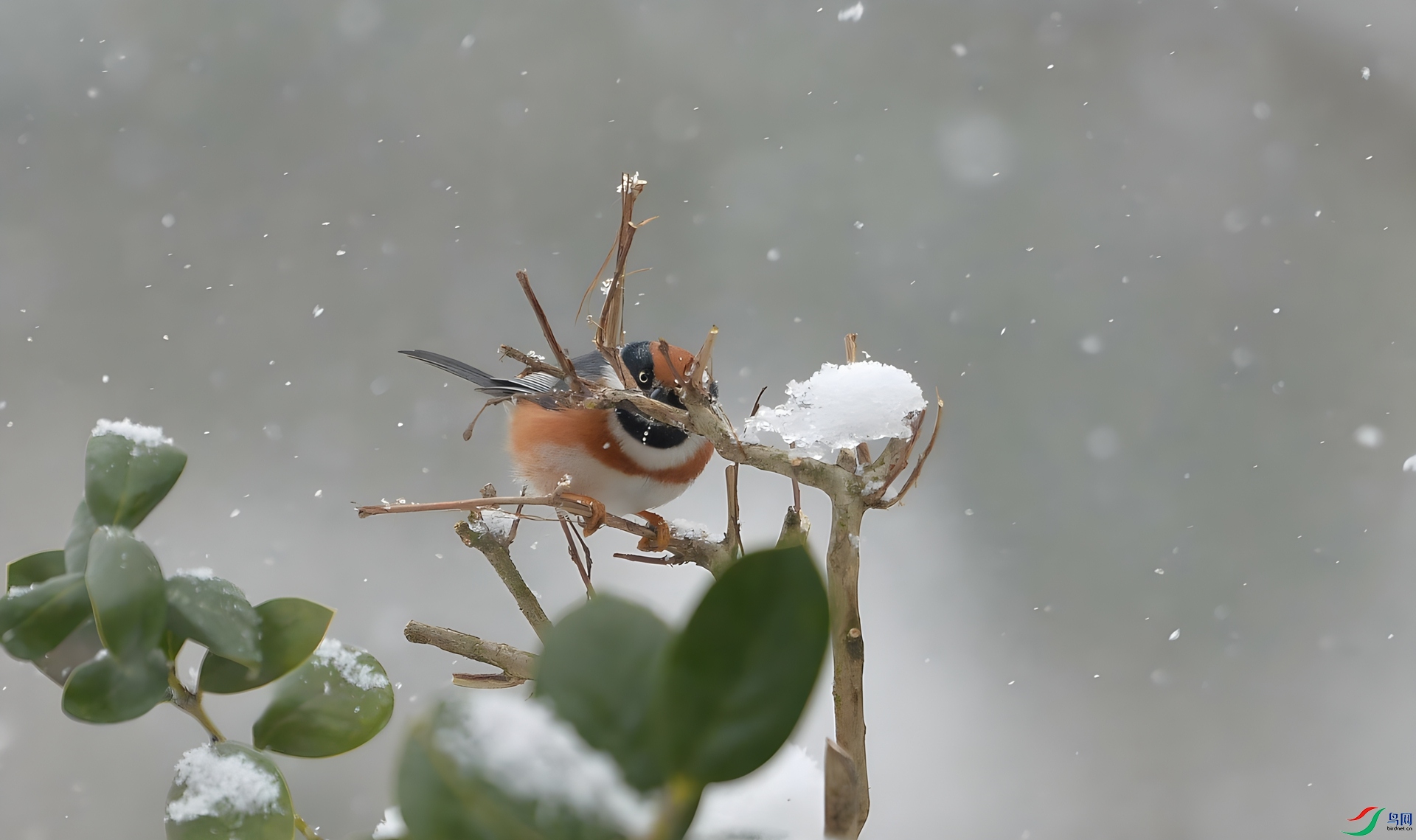 360albumviewer_imgproc_43030785_����.jpg
