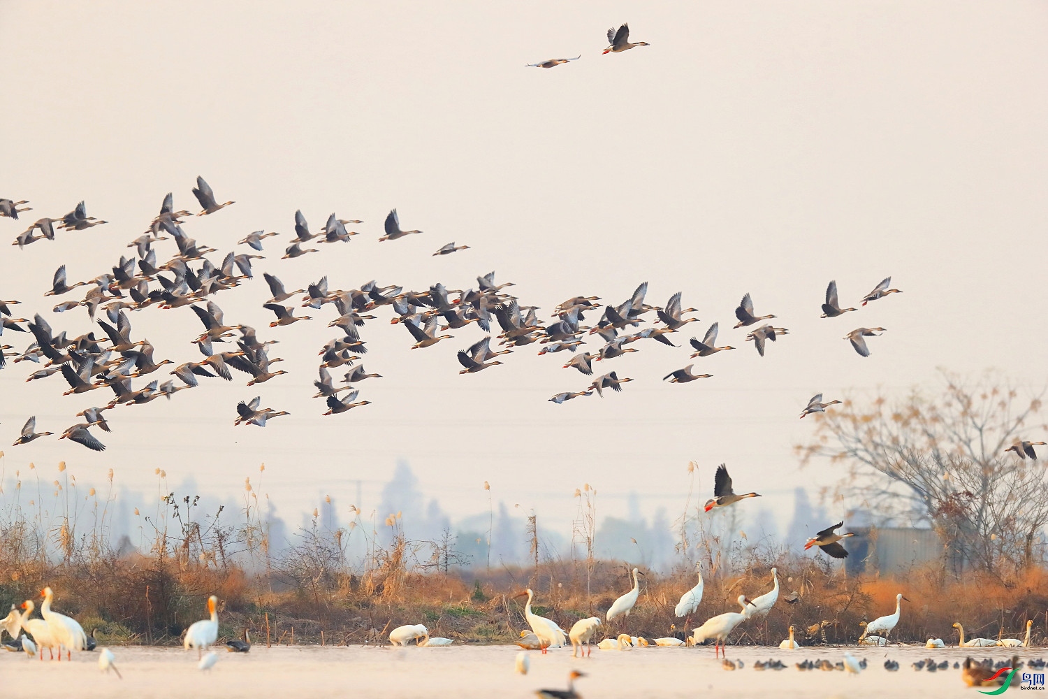 B12I3510 ���.JPG