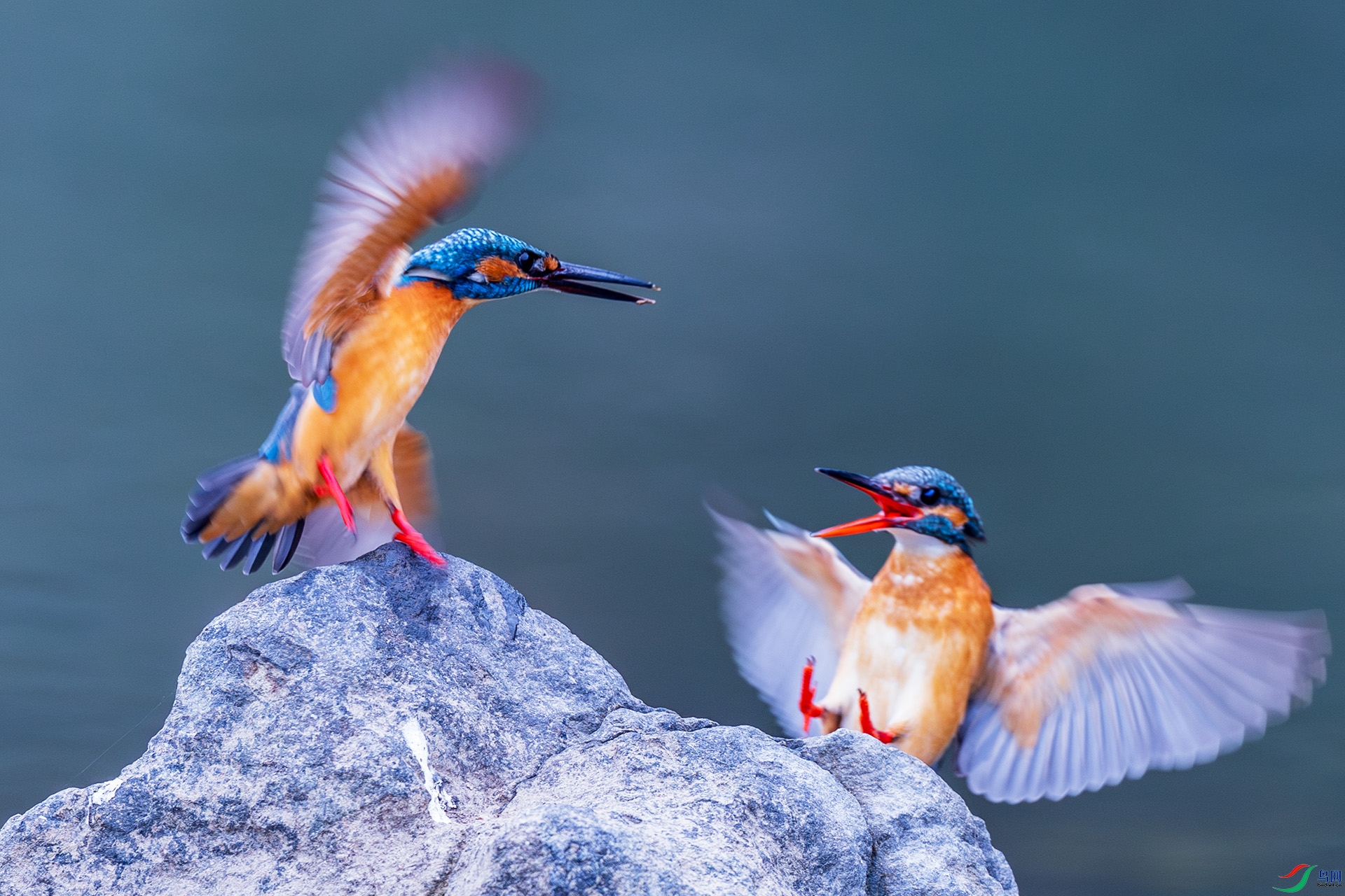 _F9A0872 ����.jpg