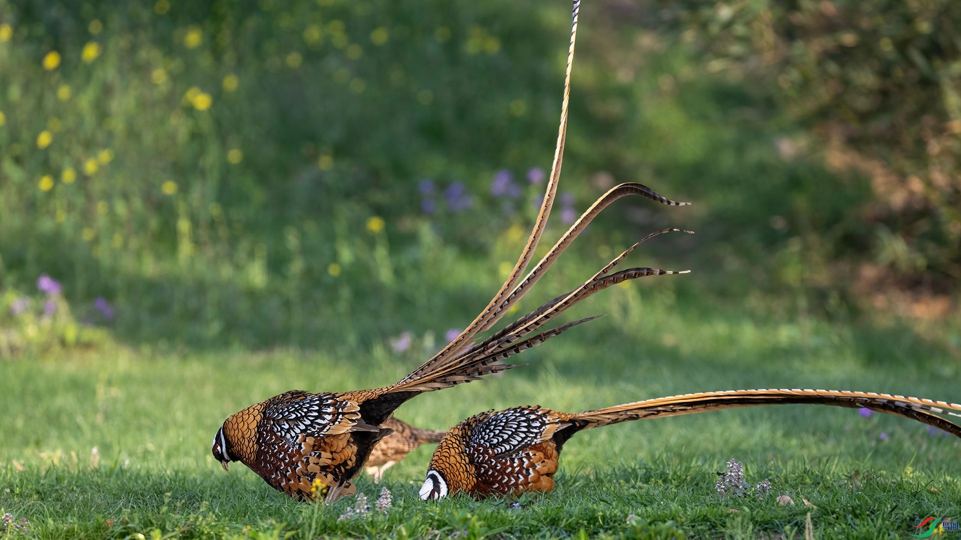 _DSC5034 ����.jpg