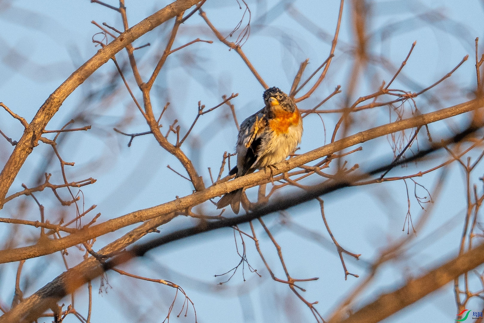 DSC_2582_2.jpg