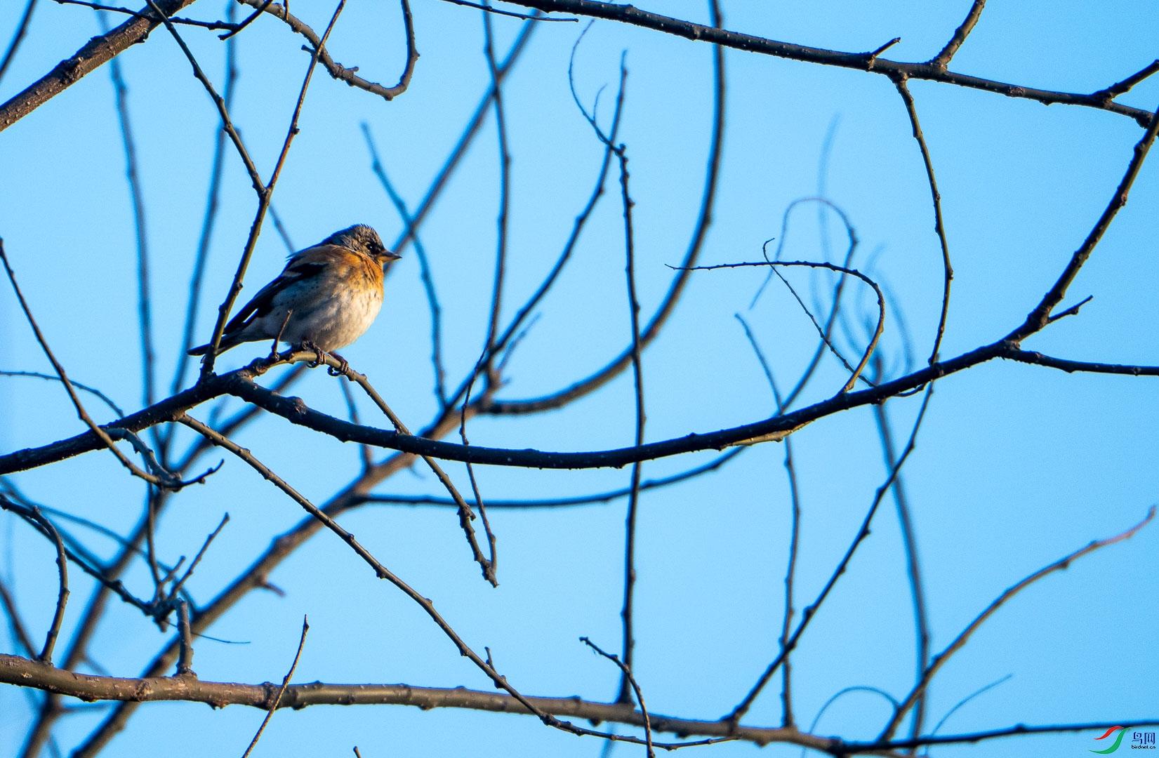 DSC_2574.jpg