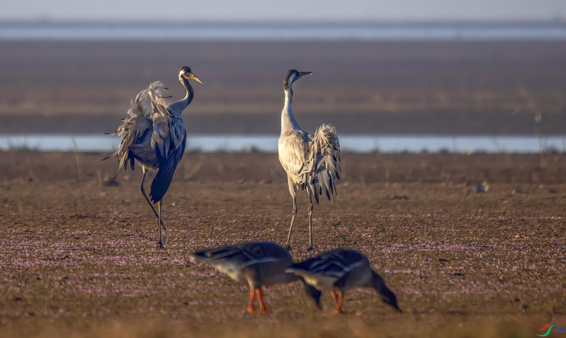 407A7883------22  .jpg