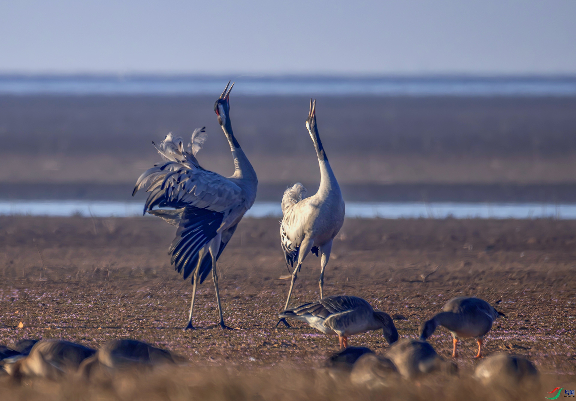 407A8947-----2222  .jpg