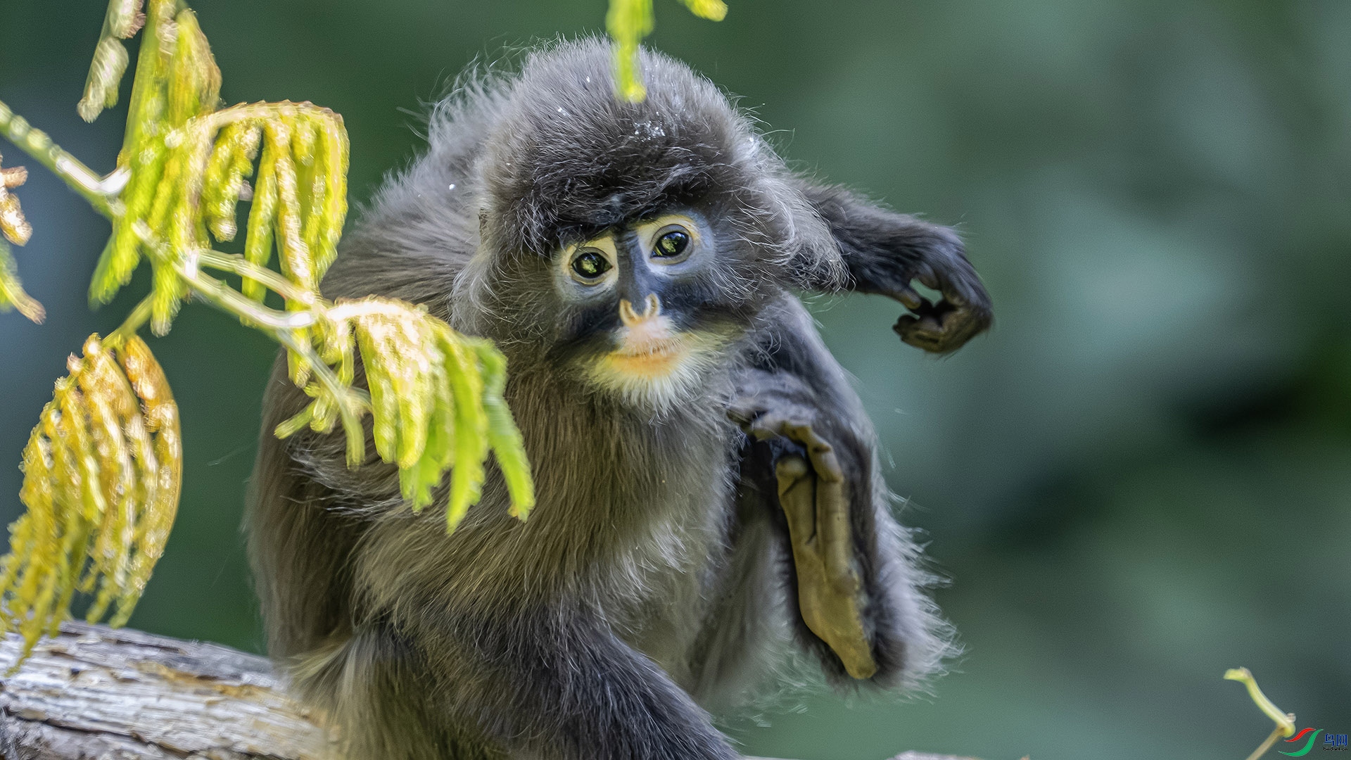 DSC_9603 ����.jpg