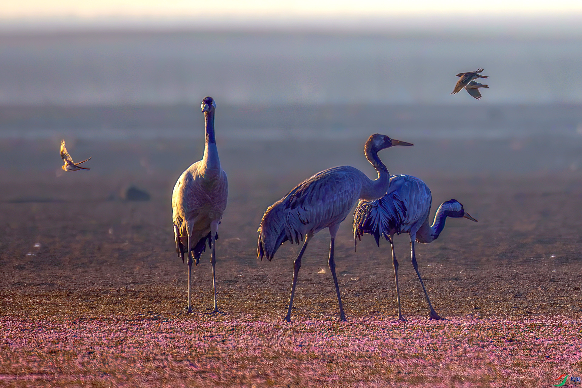 407A6816-----22   .jpg