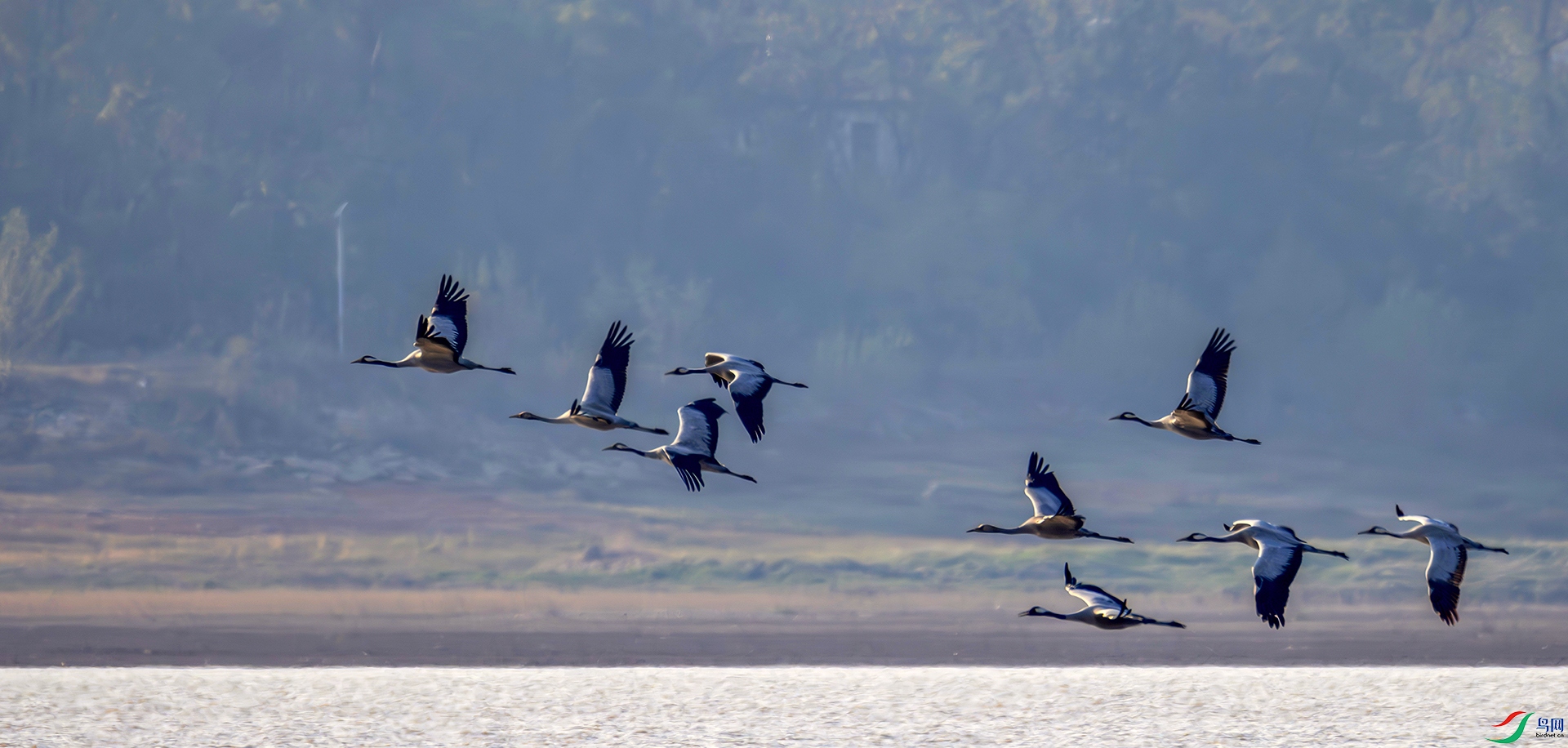 407A6687-----22  .jpg